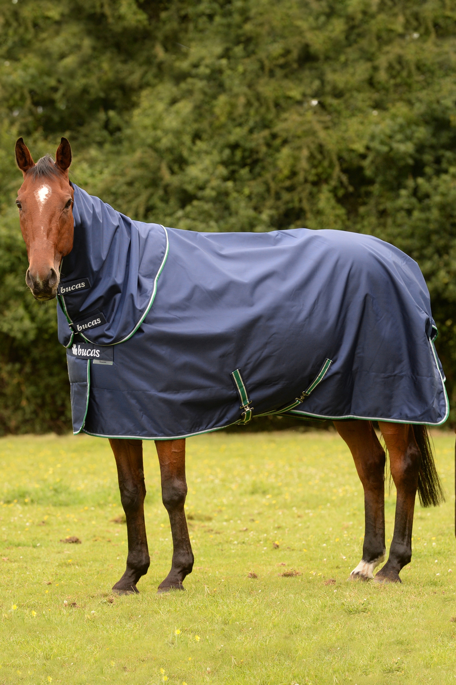 Bucas Smartex Rain Pony Regendecke mit Abschwitzfunktion, 0g