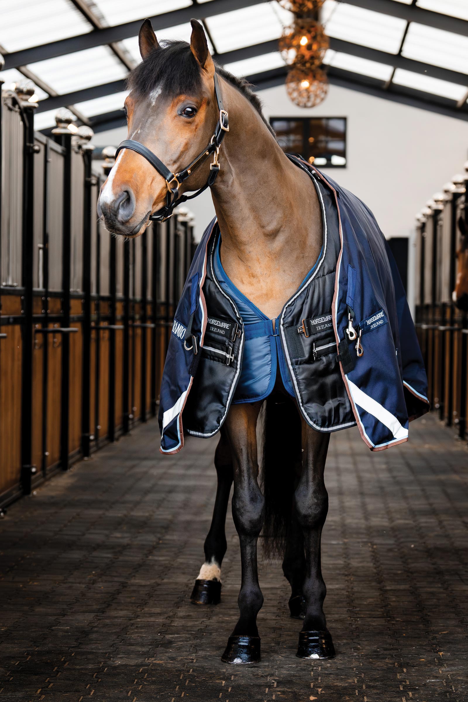 Horseware Easy-Layer Stalldecke 100g