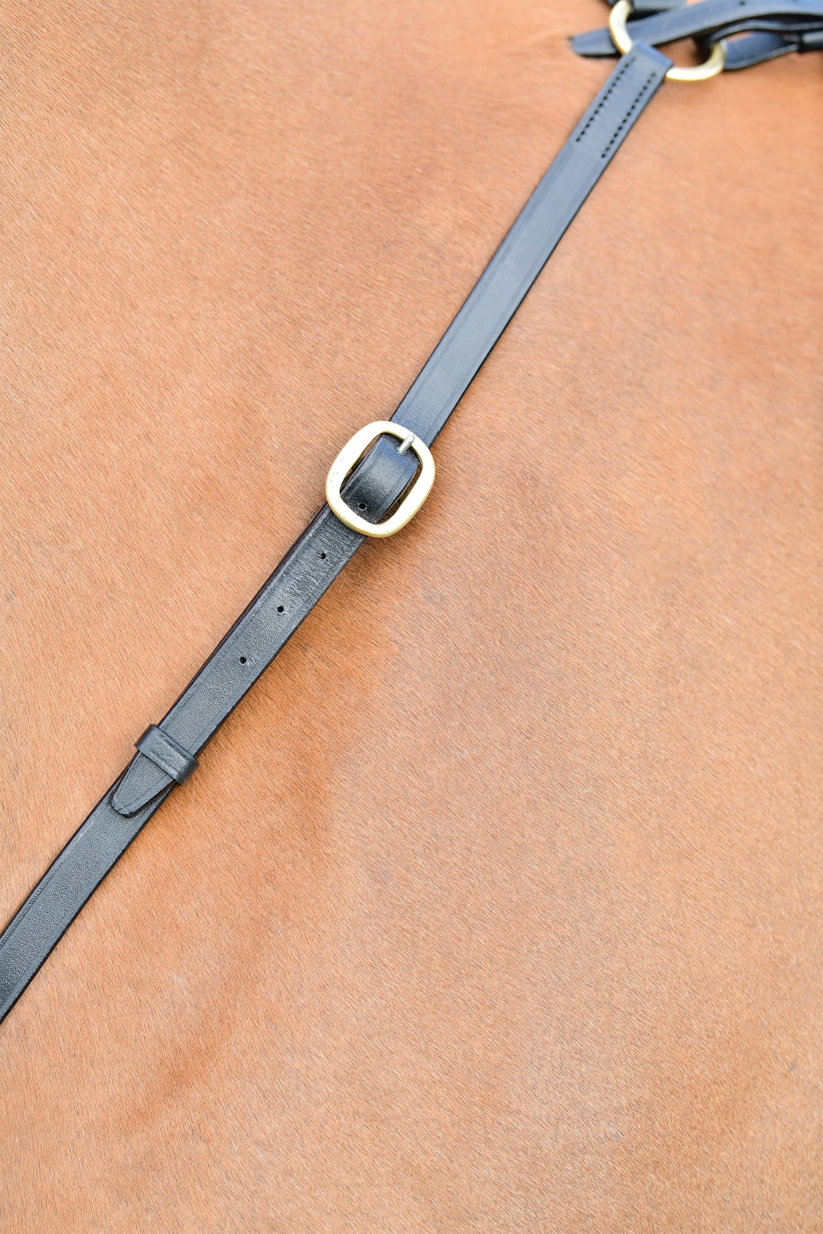 Kincade Classic 3-Punkt Vorderzeug mit laufendem Martingal