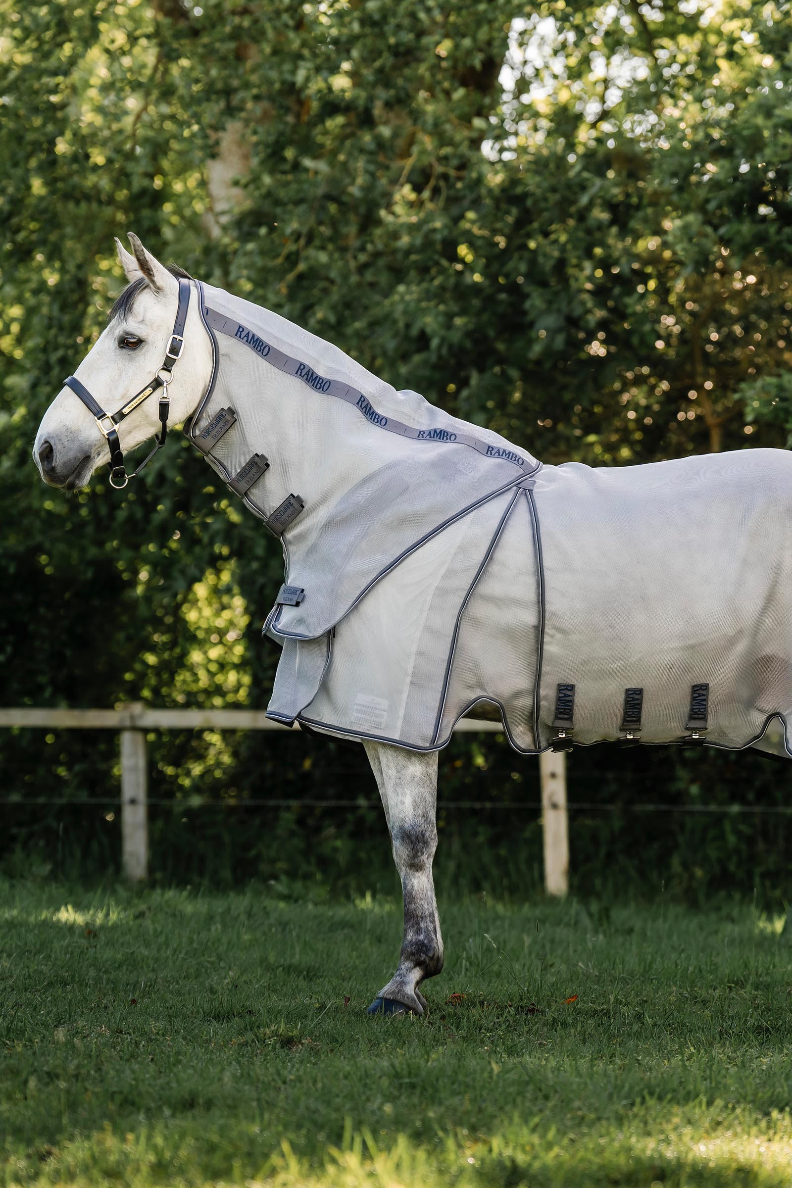 Horseware Rambo Optimo Protector Plus Weidedecke