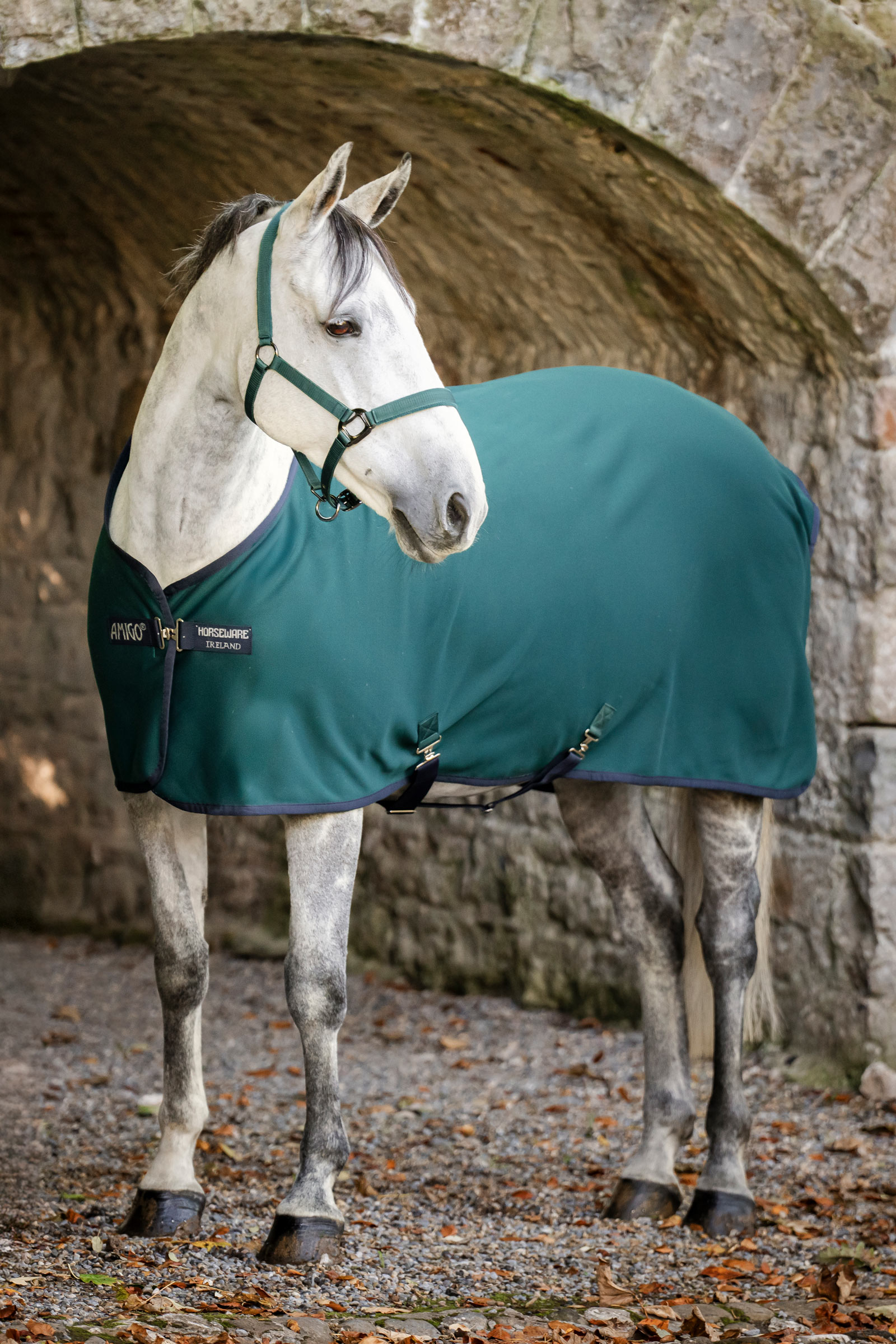 Dynasty Green/Navy/Silver Horseware Amigo Jersey Cooler Abschwitzdecke