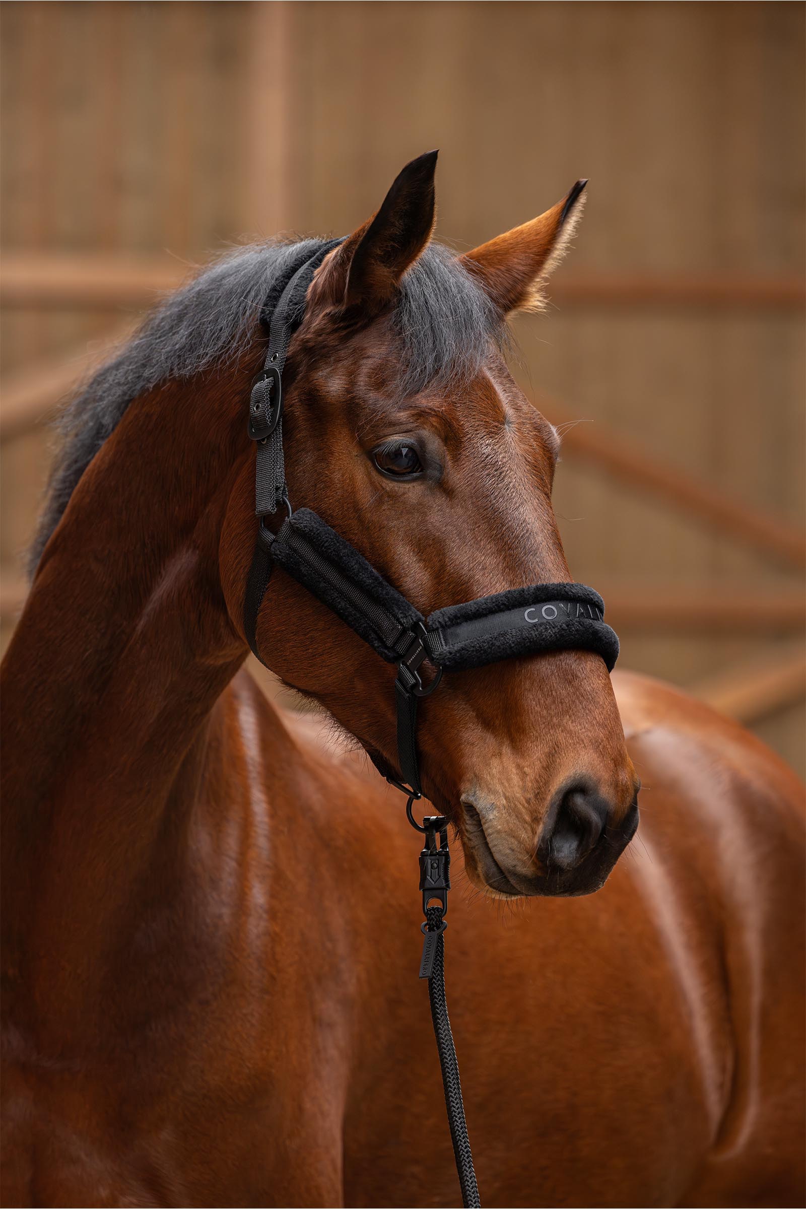 Covalliero Gepolstertes Halfter