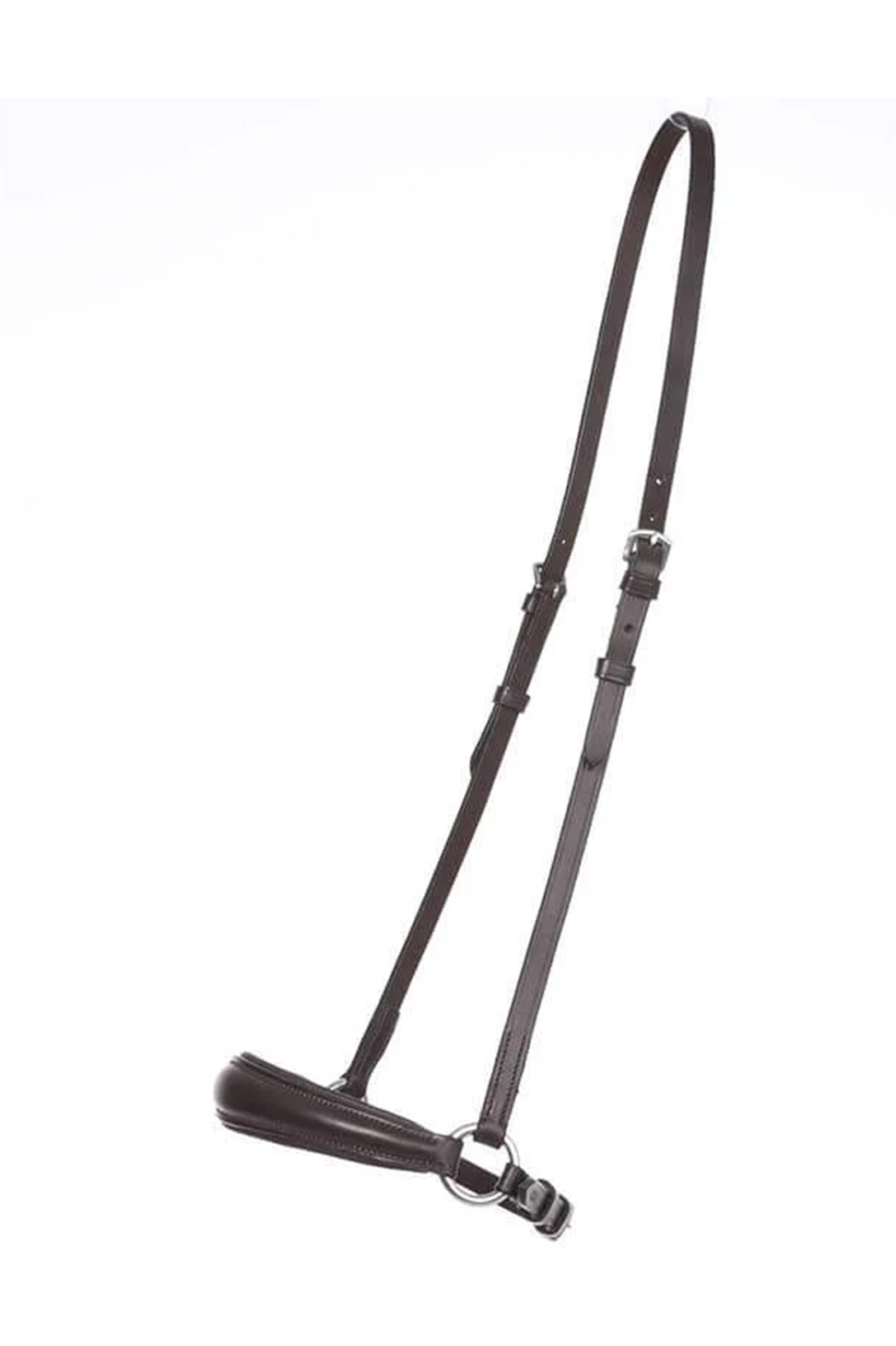 Kavalkade Reithalfter hann.