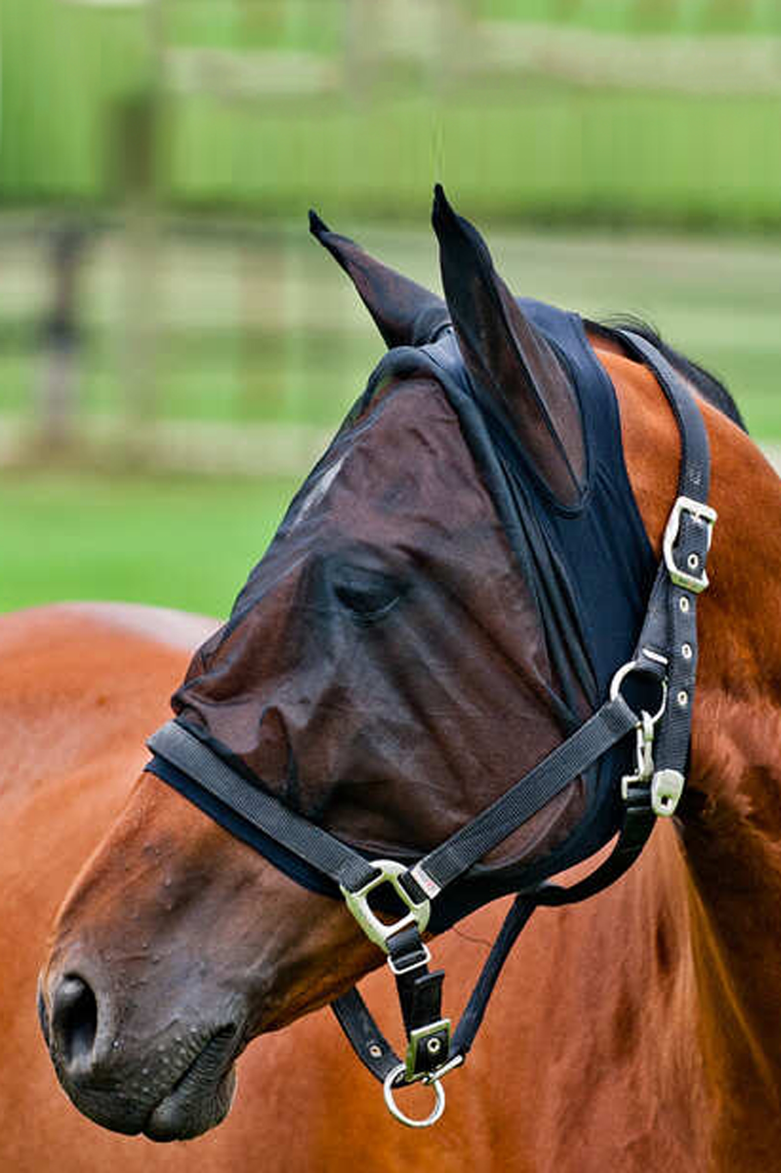 Horze Mesh Fliegenmaske