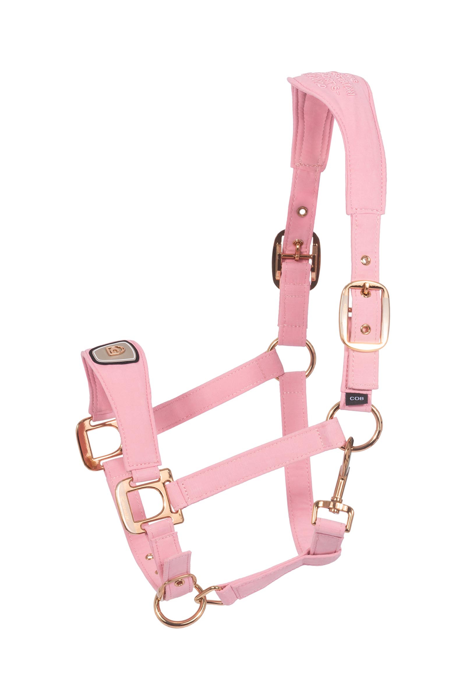 Powder Pink Cavallo CAVALPAWEL Halfter