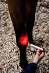 Horseware LED-Rotlicht-Therapie Stab