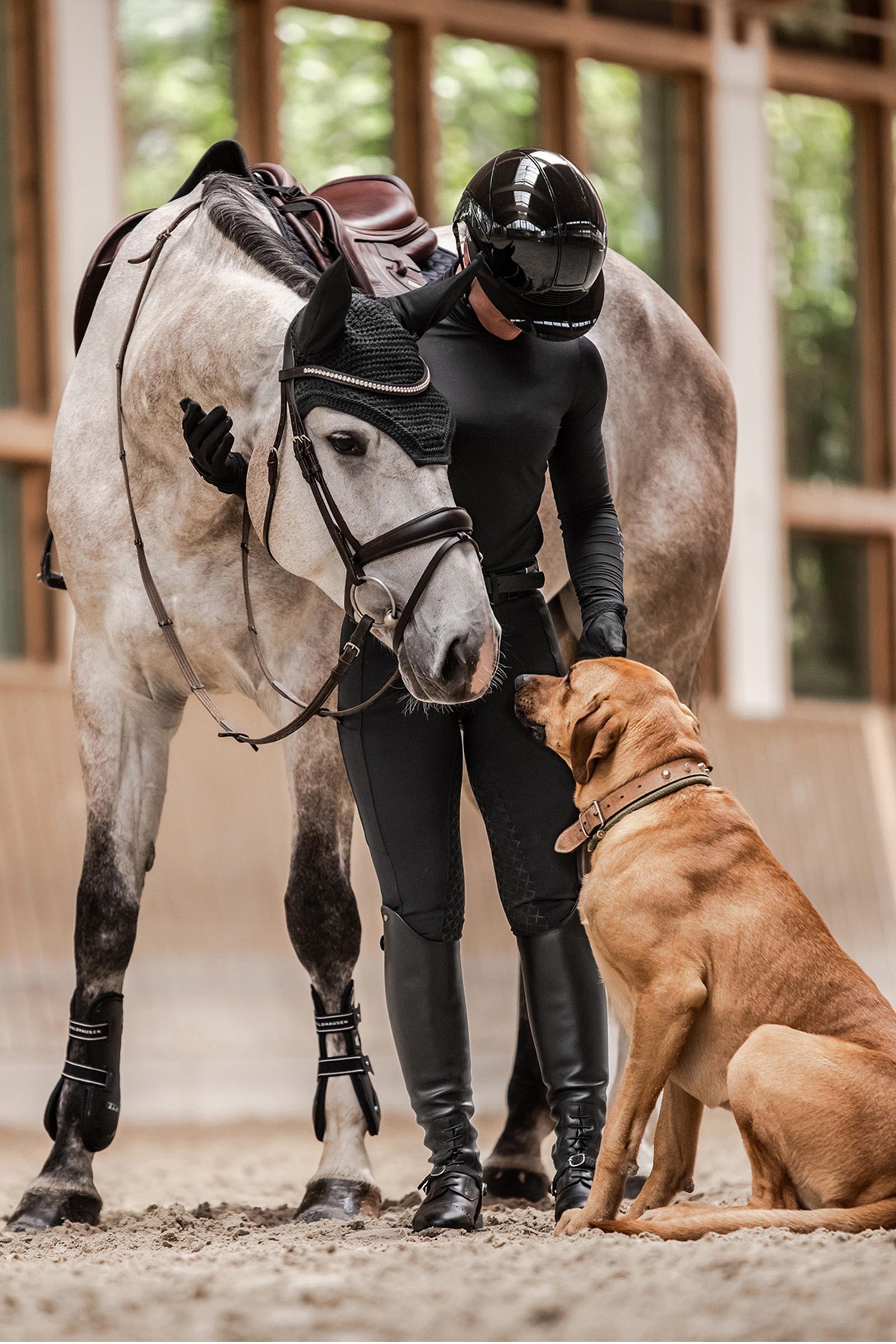 SWING H24 Glossy Damen Reithelm