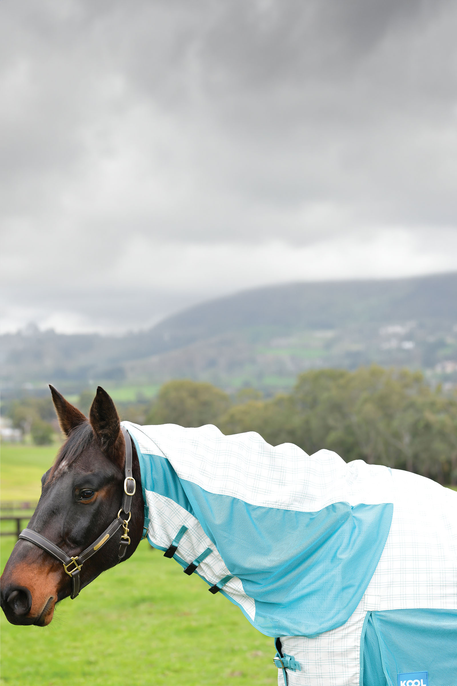 Weatherbeeta Kool Coat Baumwolle Airstream Ii Detach-A-Neck