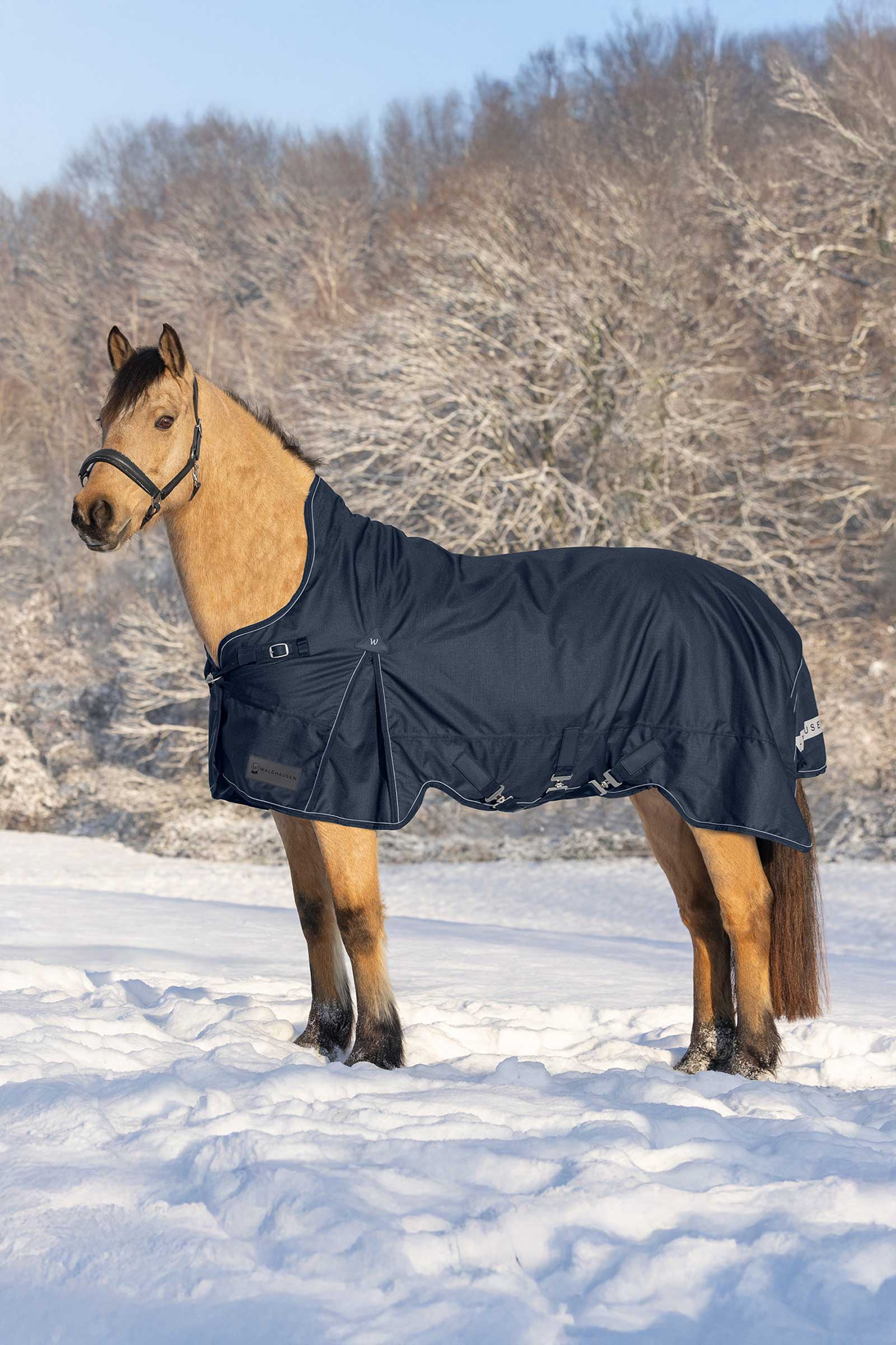 Waldhausen Scandic Weidedecke mit hohem Hals, 200 g