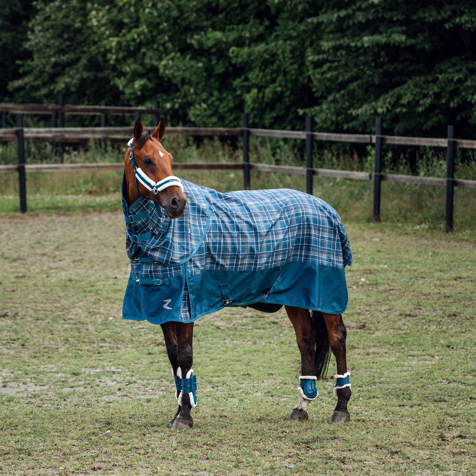 Horze Caliber Streichkappen mit Kunstfellfutter