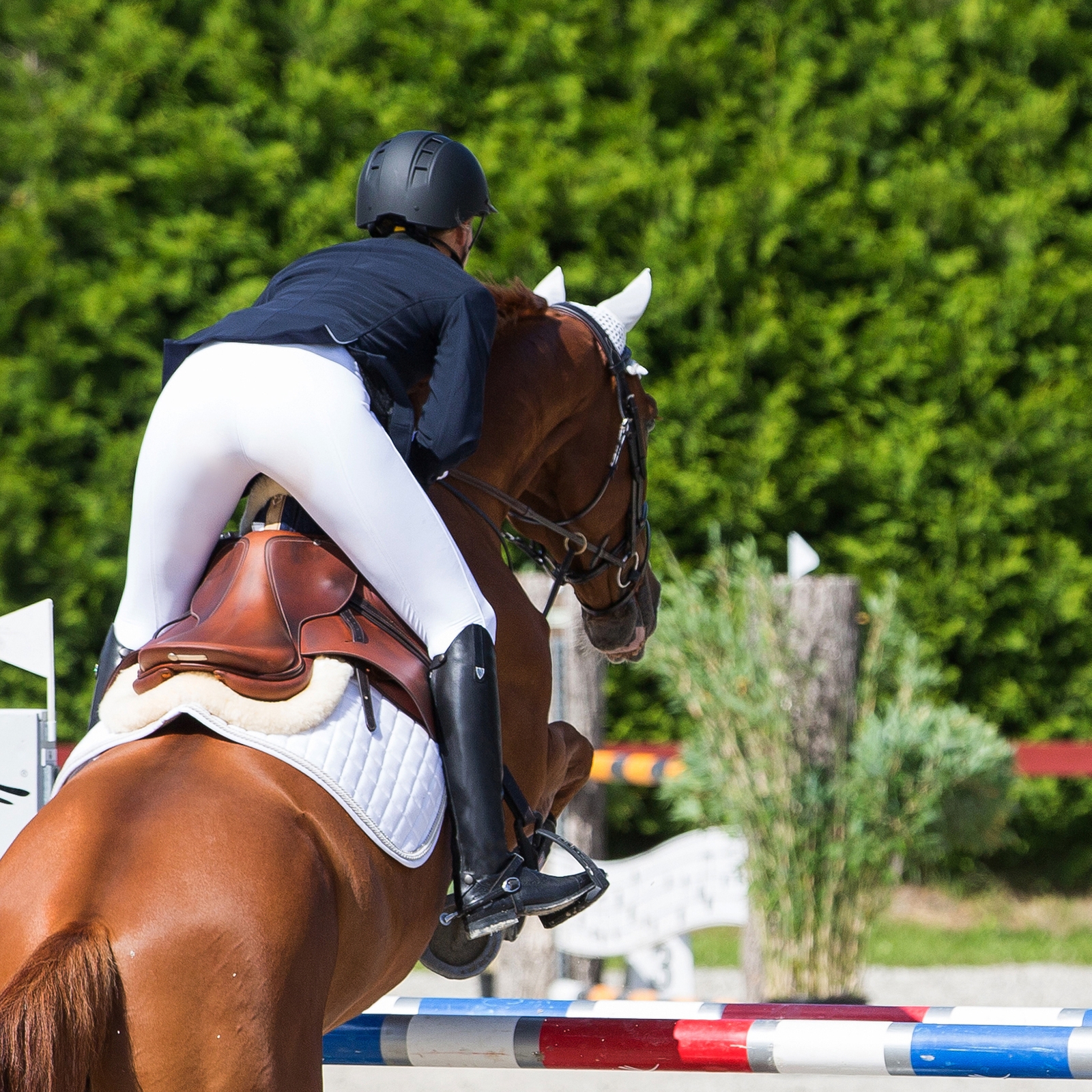 Horze Winslow Echtleder-Reitstiefel