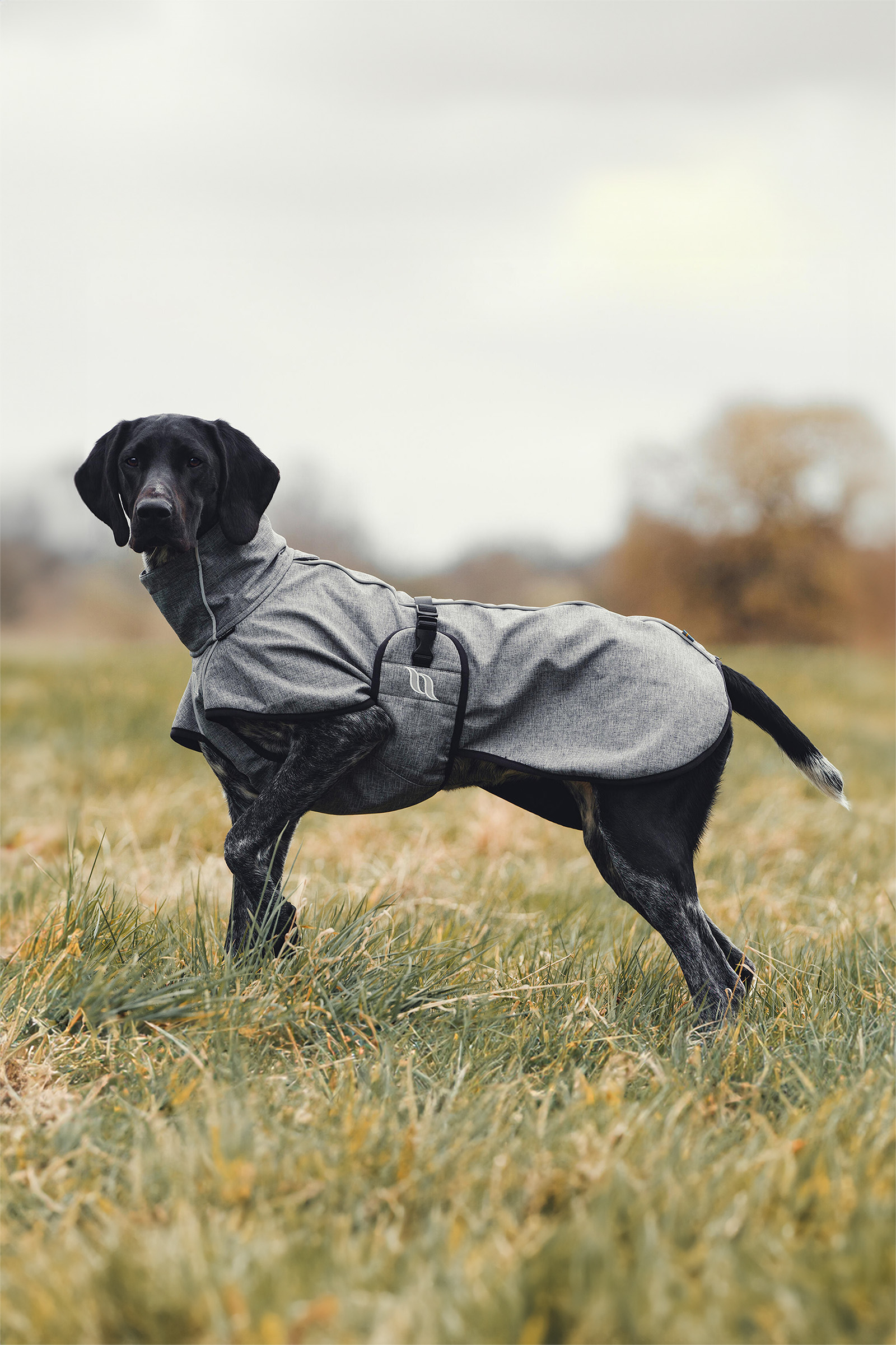 Back on Track Bark All-Round Hundemantel, 40-50cm