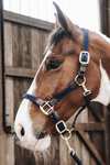 Kentucky Horsewear Plaited Nylon Stallhalfter
