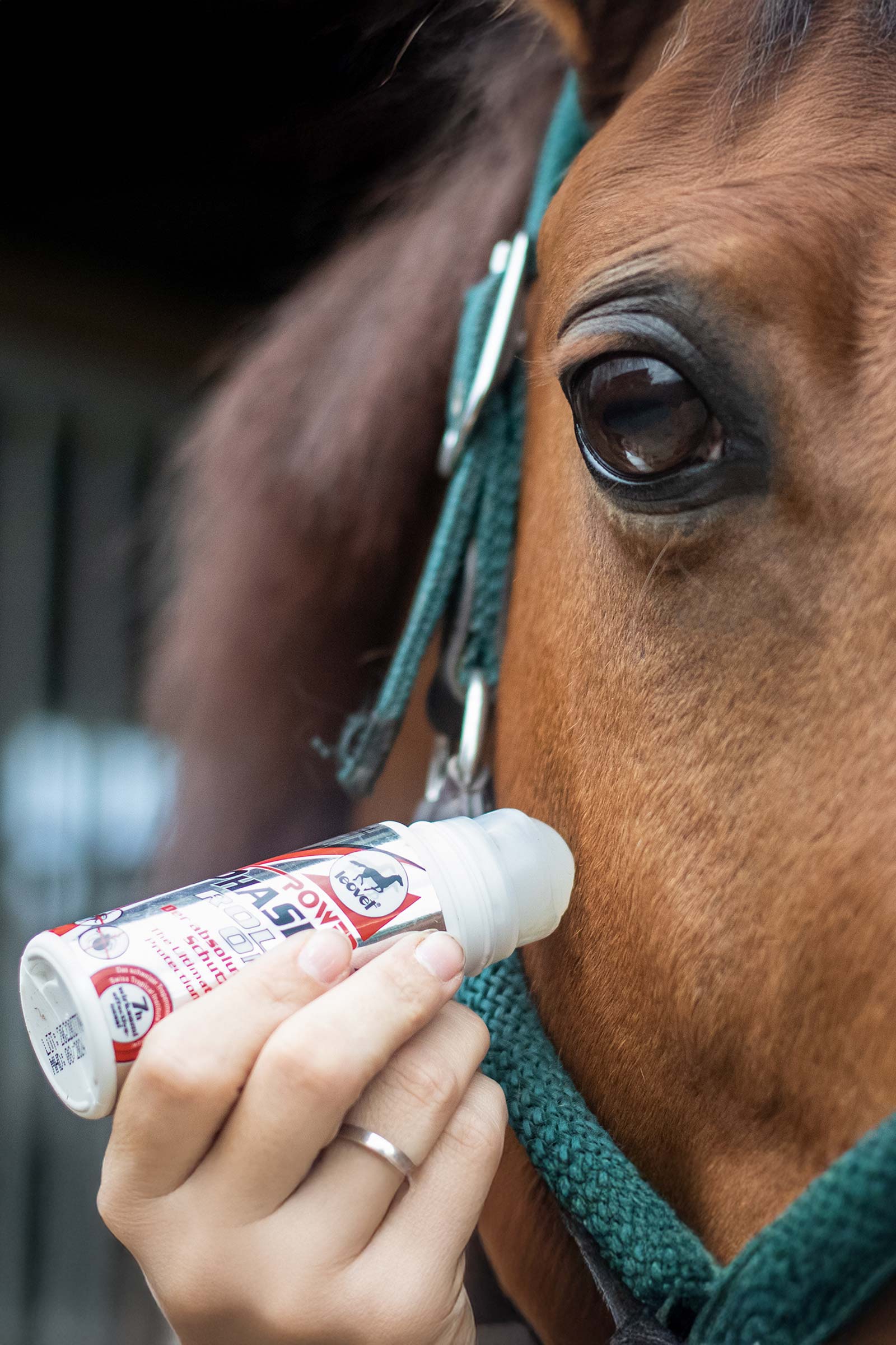 Leovet Power Phaser Roll On, 75ml