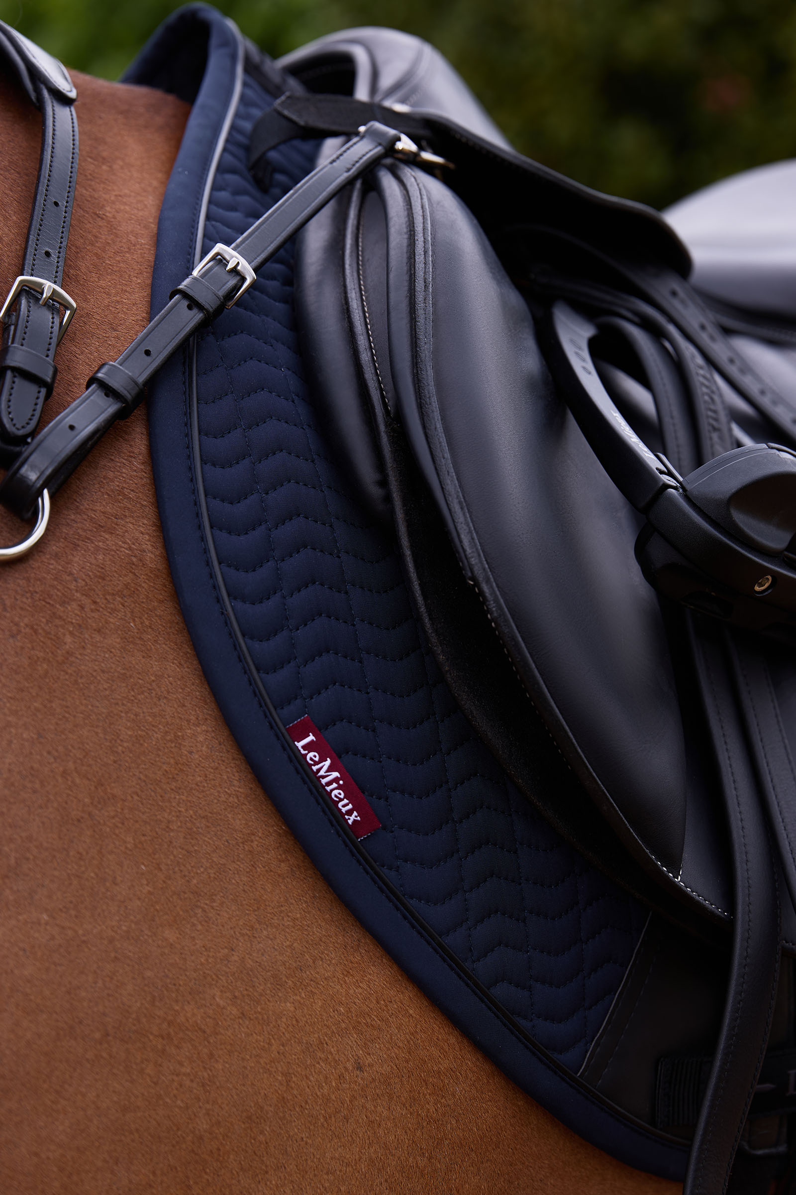 LeMieux Essence Eurojump Springschabracke