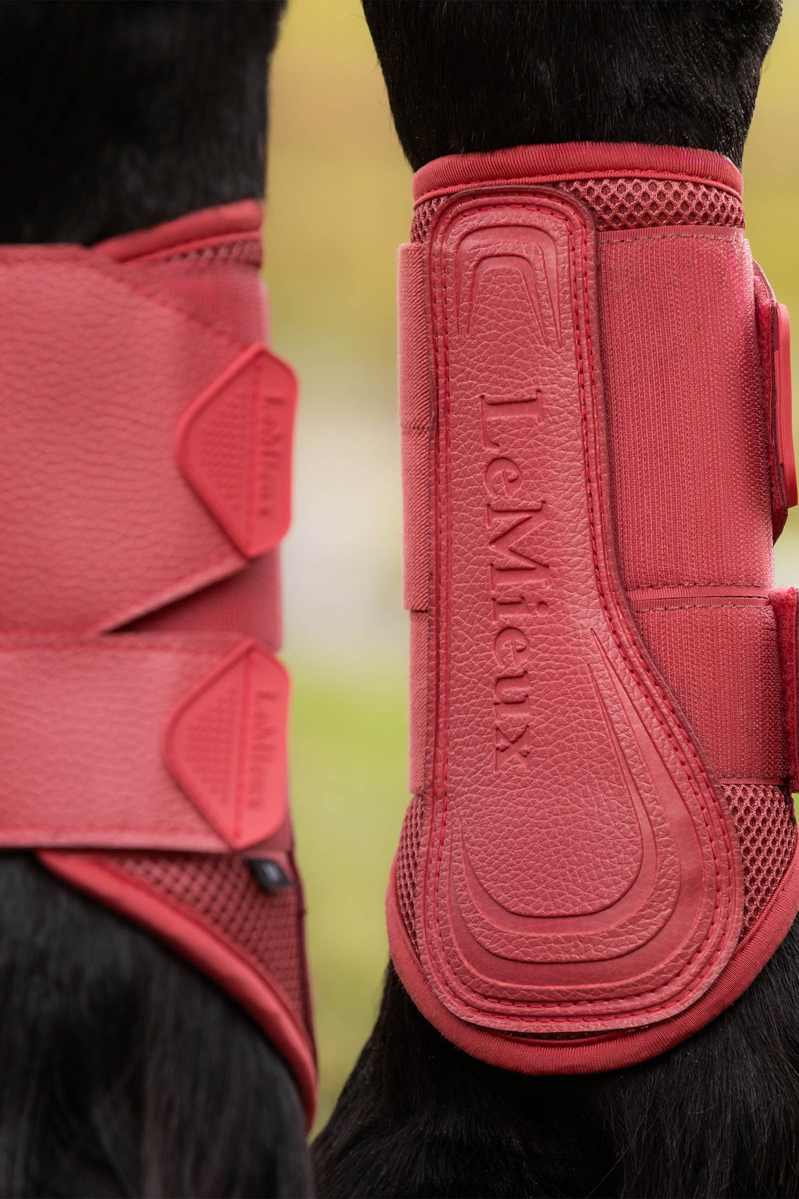 LeMieux Arika Mesh Streichkappen