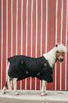 Kentucky Horsewear Stalldecke, 400g
