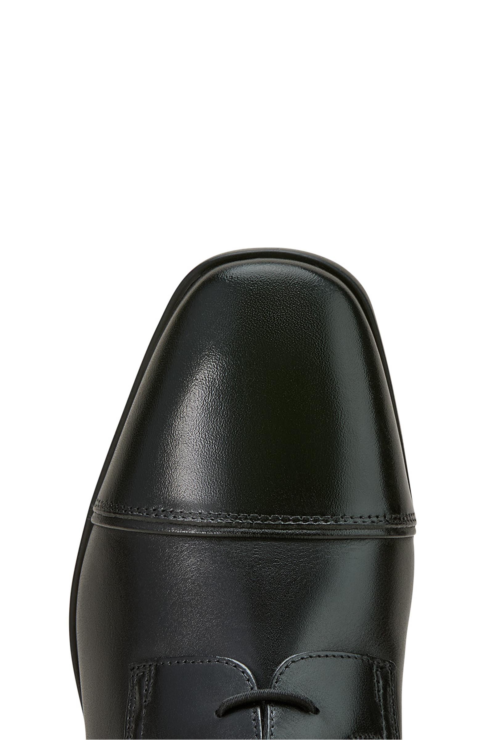 Ariat Palisade Damen Field-Reitstiefel