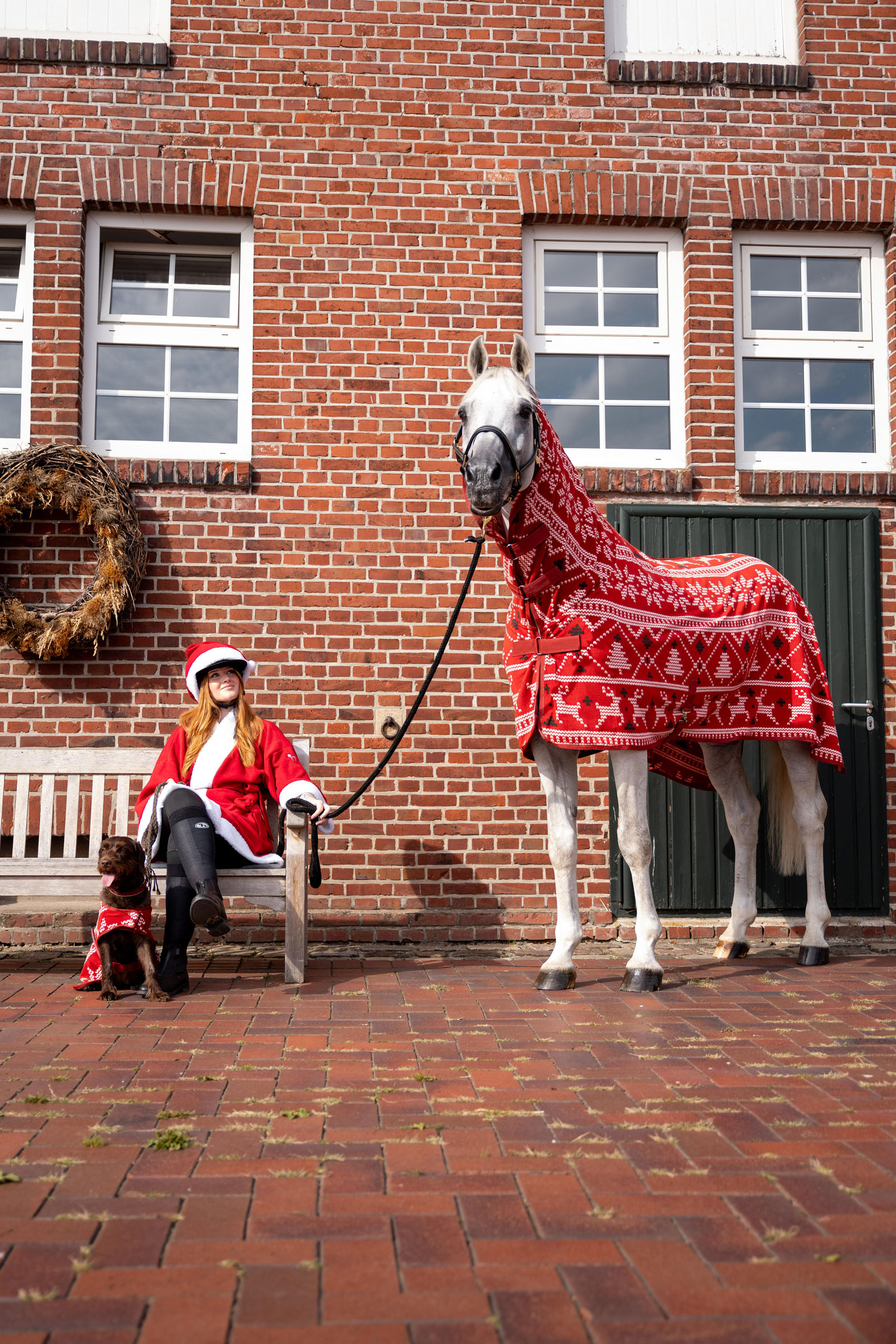 Horze Weihnachts-Pullover für Pferde