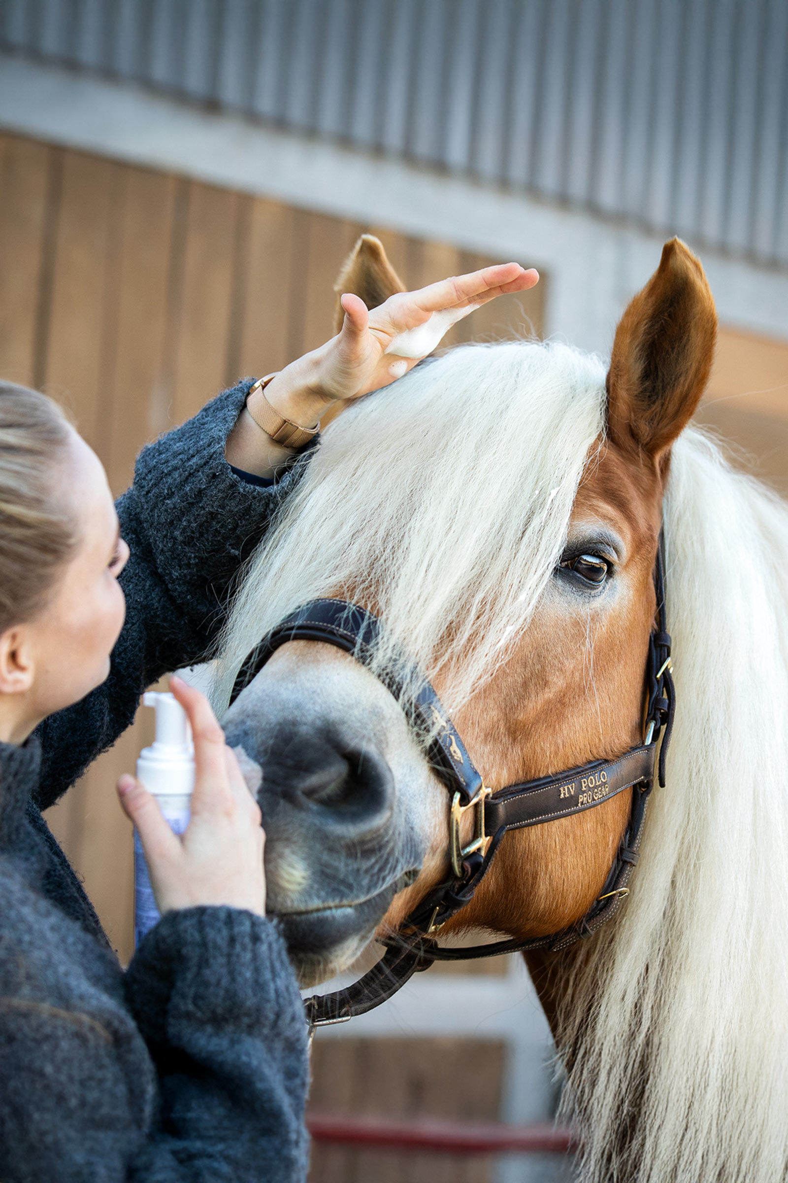 Zedan Natürlicher Mähnenschaum, 200ml