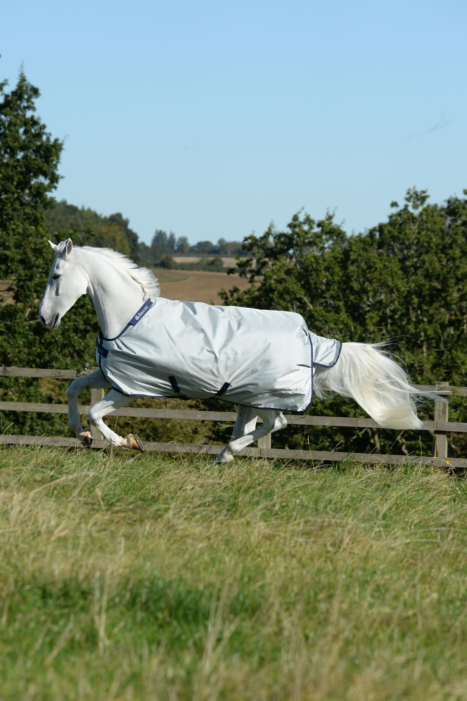 Bucas Power leichte Weidedecke, 0g