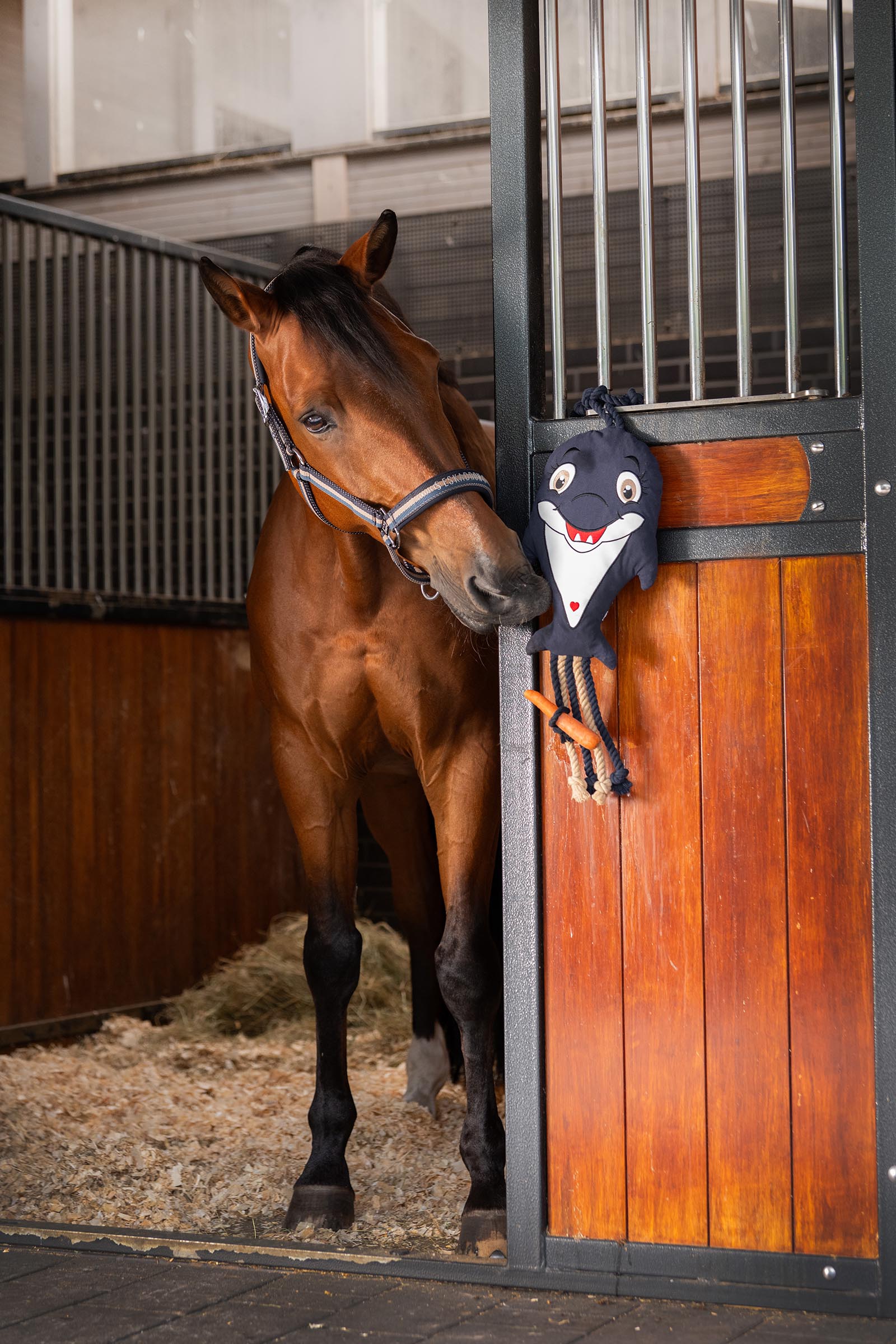 Eskadron Classic Sport SS26 Delfin Pferdespielzeug