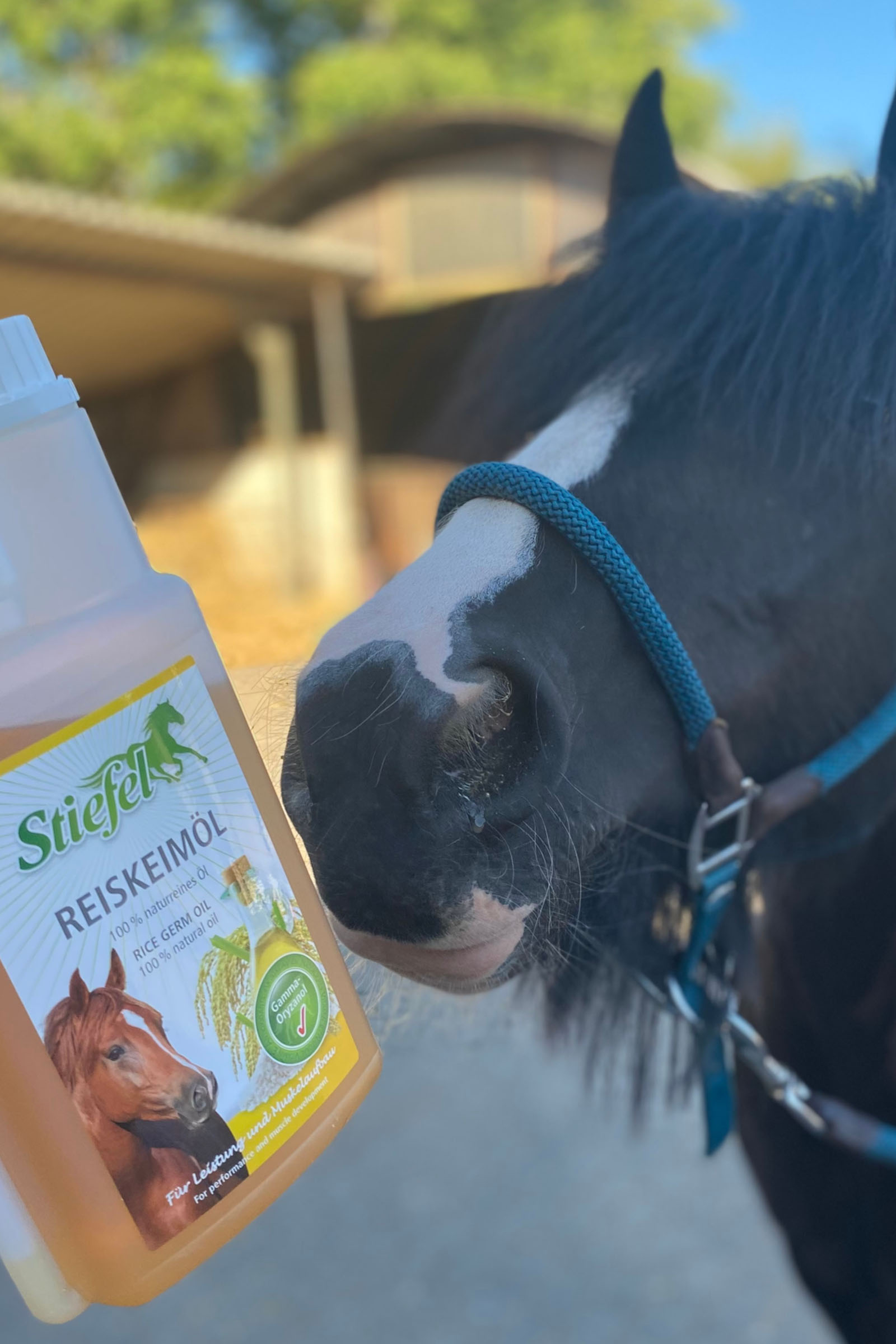 Stiefel Reiskeimöl, 1l