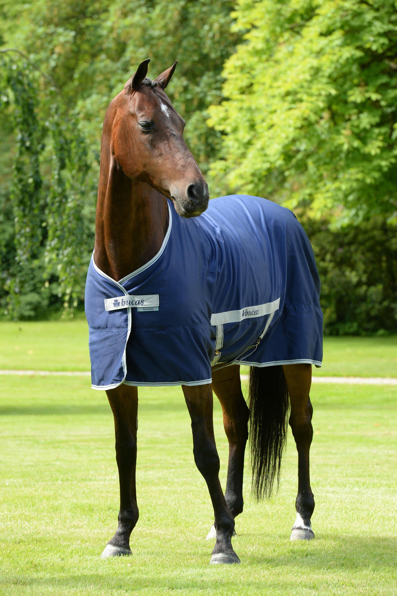 Bucas Freedom Twill Stalldecke, 0 g