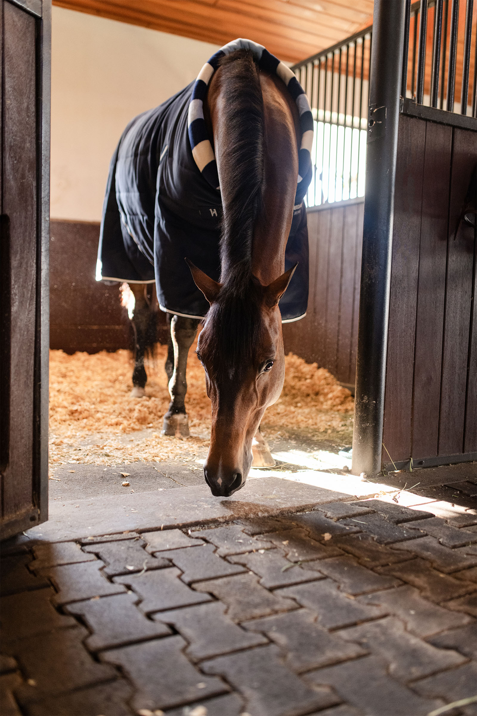 Horseware Newmarket Cosy Stalldecke 100g