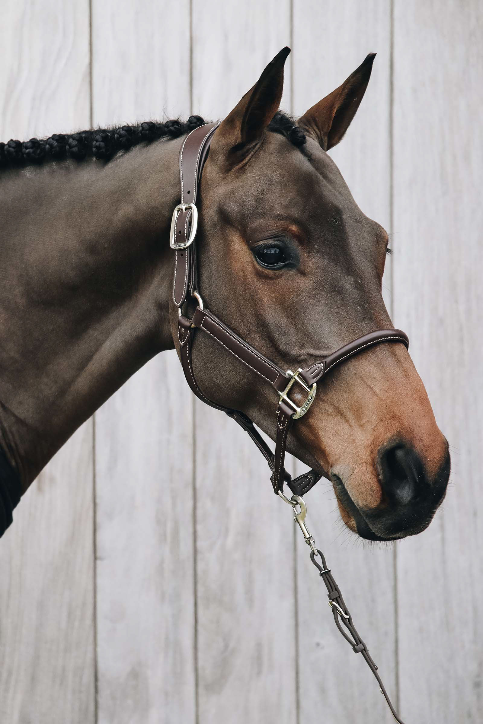 Kentucky Horsewear Lederhalfter Anatomic