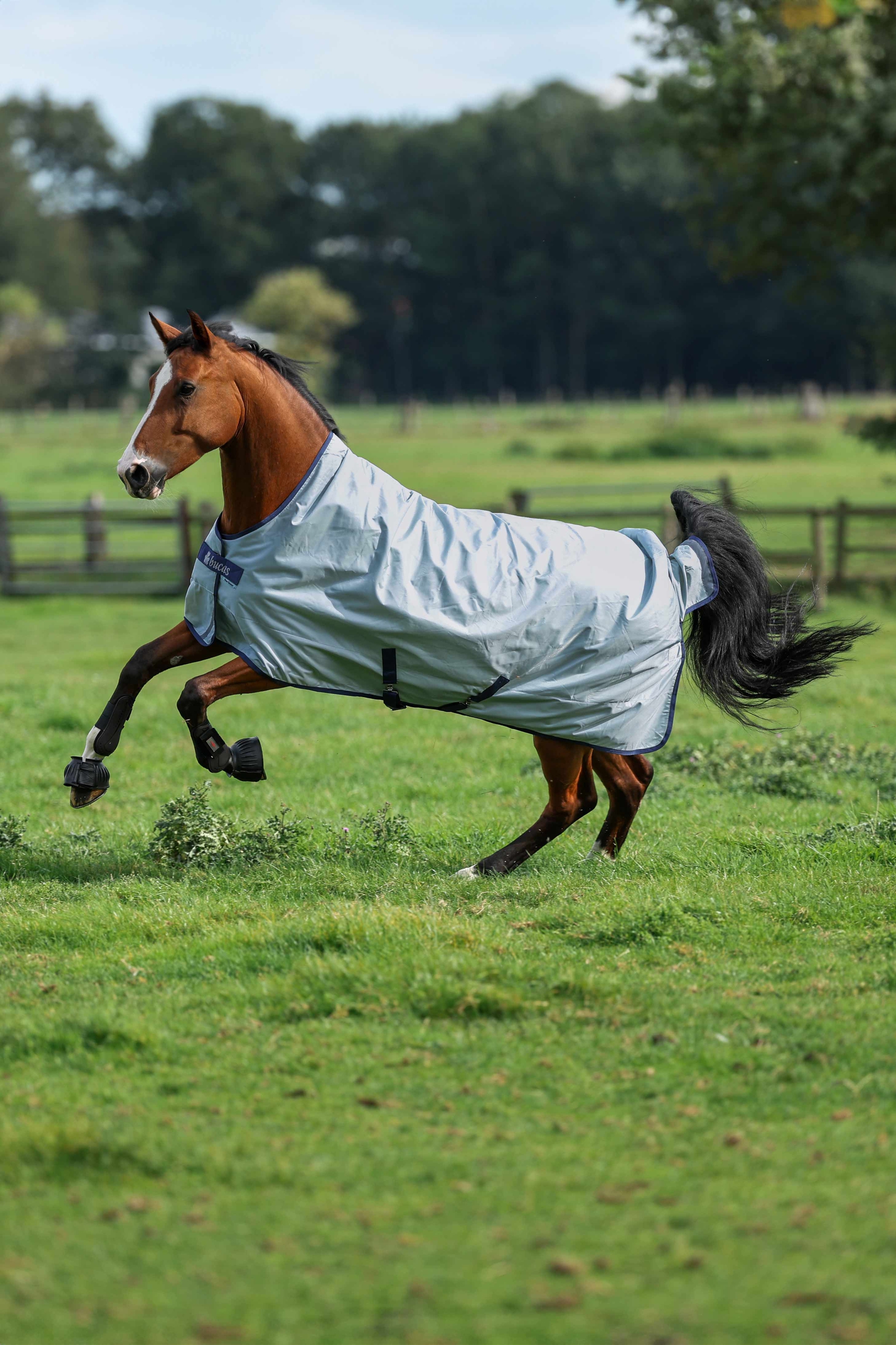 Bucas Power Light Weidedecke mit hohem Hals, 0 g