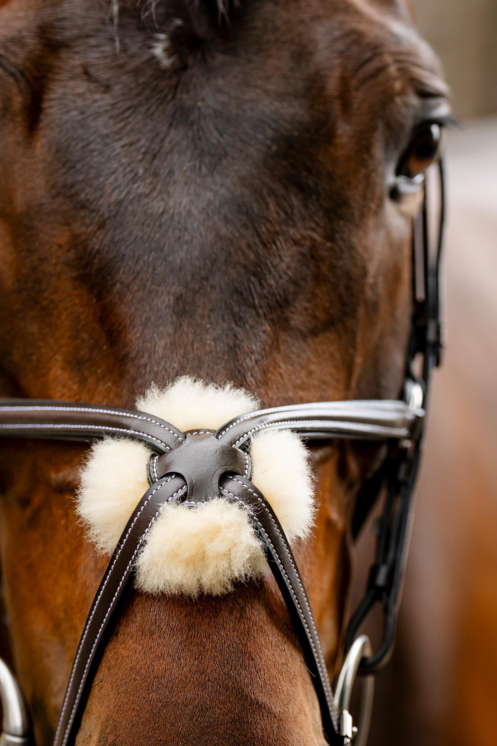 Horseware Trense mit Mexikanischem Reithalfter