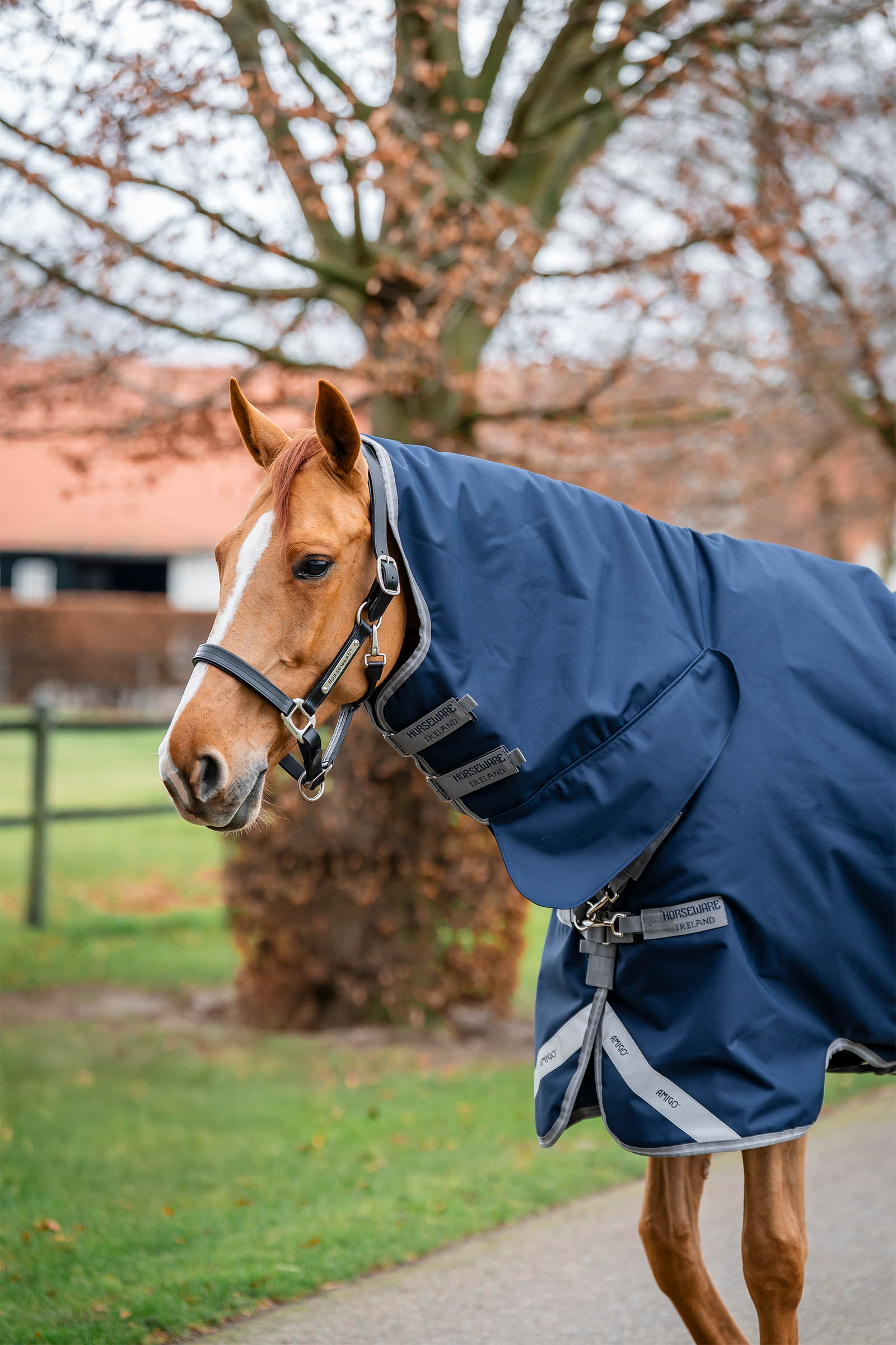 Horseware Amigo 1200D integrierte Outdoordecke 250 g