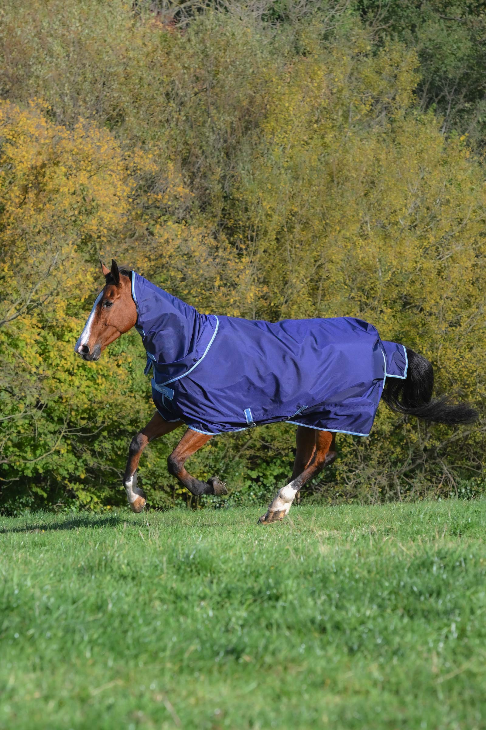 Bucas Atlantic Exclusive Decke & Halsteil Set, 0 g