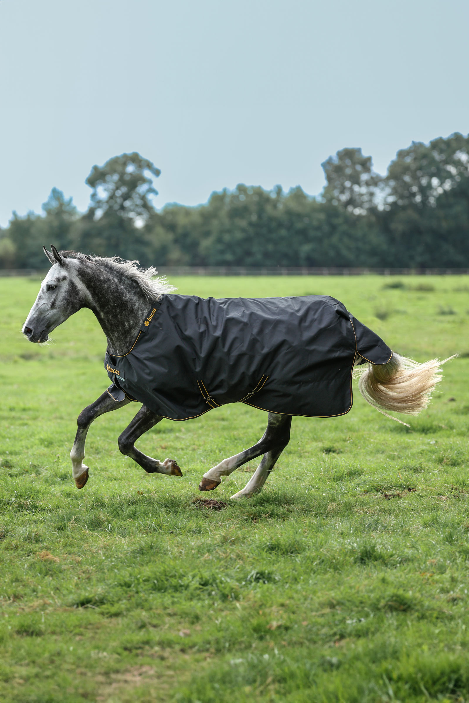 Bucas Irish Weidedecke, 50g