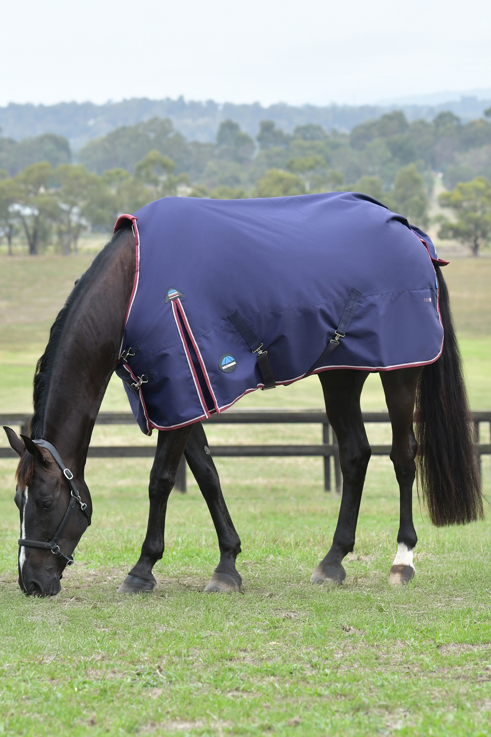 Weatherbeeta ComFiTec Essential Turnout Standard Neck 50G