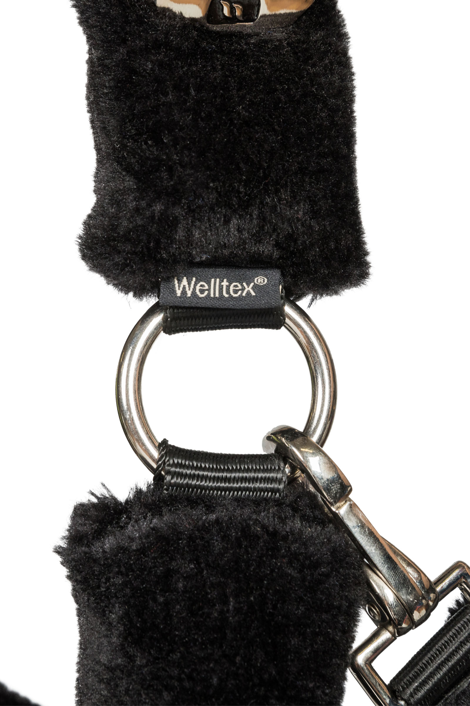 Back on Track Audrey Halfter