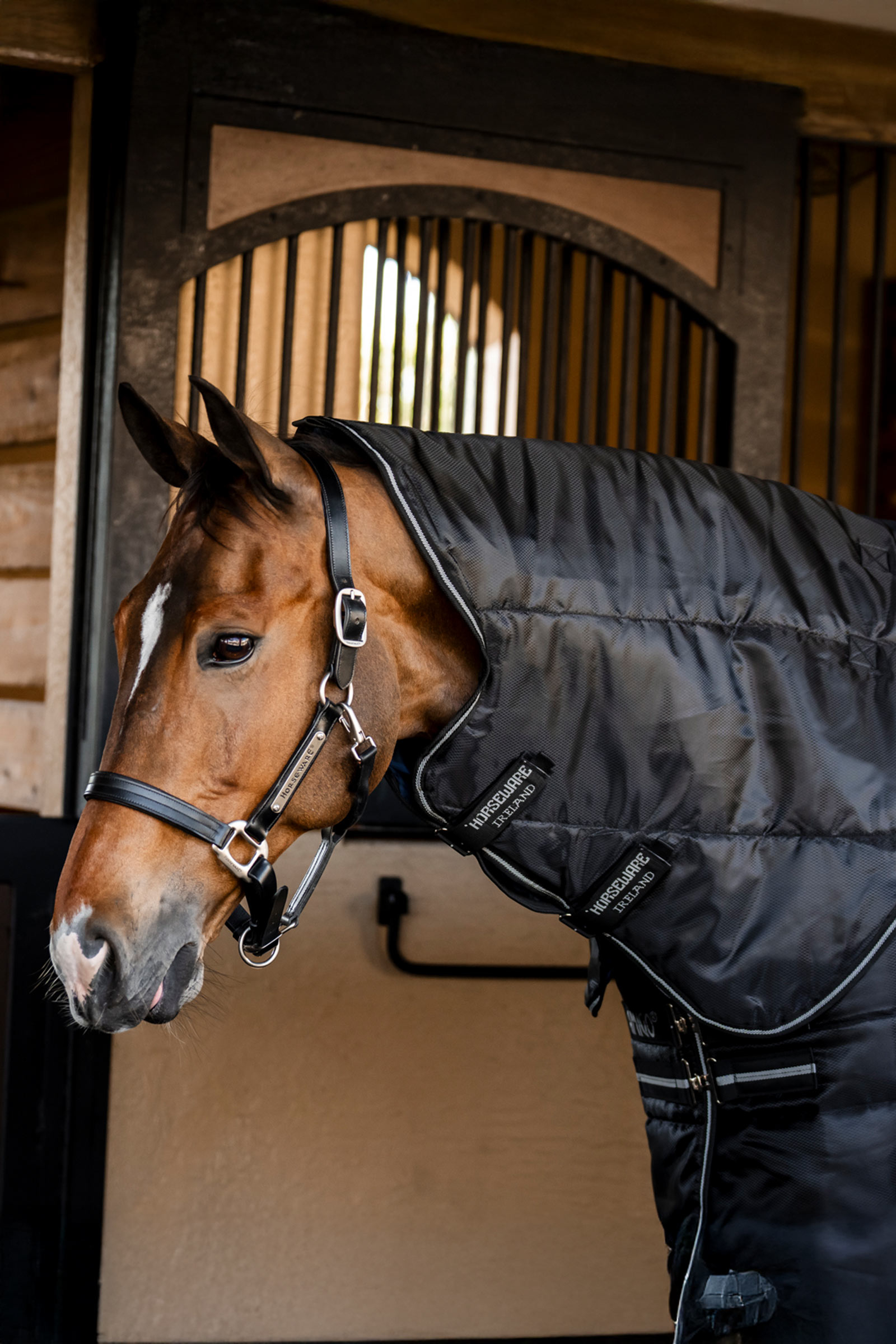 Black/Black/Silver Horseware Amigo Ripstop Insulator Plus Stalldecke, 200 g