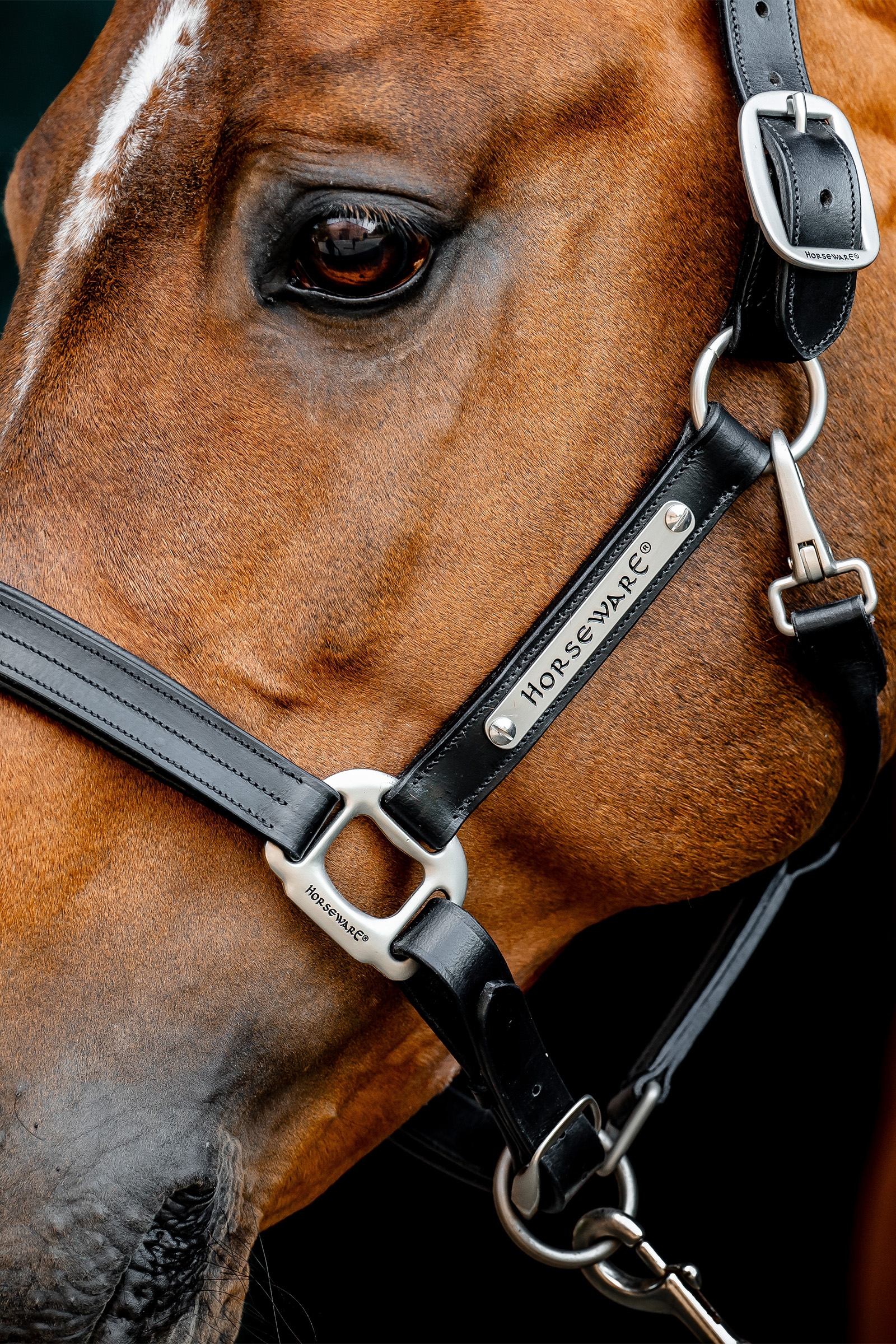 Horseware Signature Lederhalfter