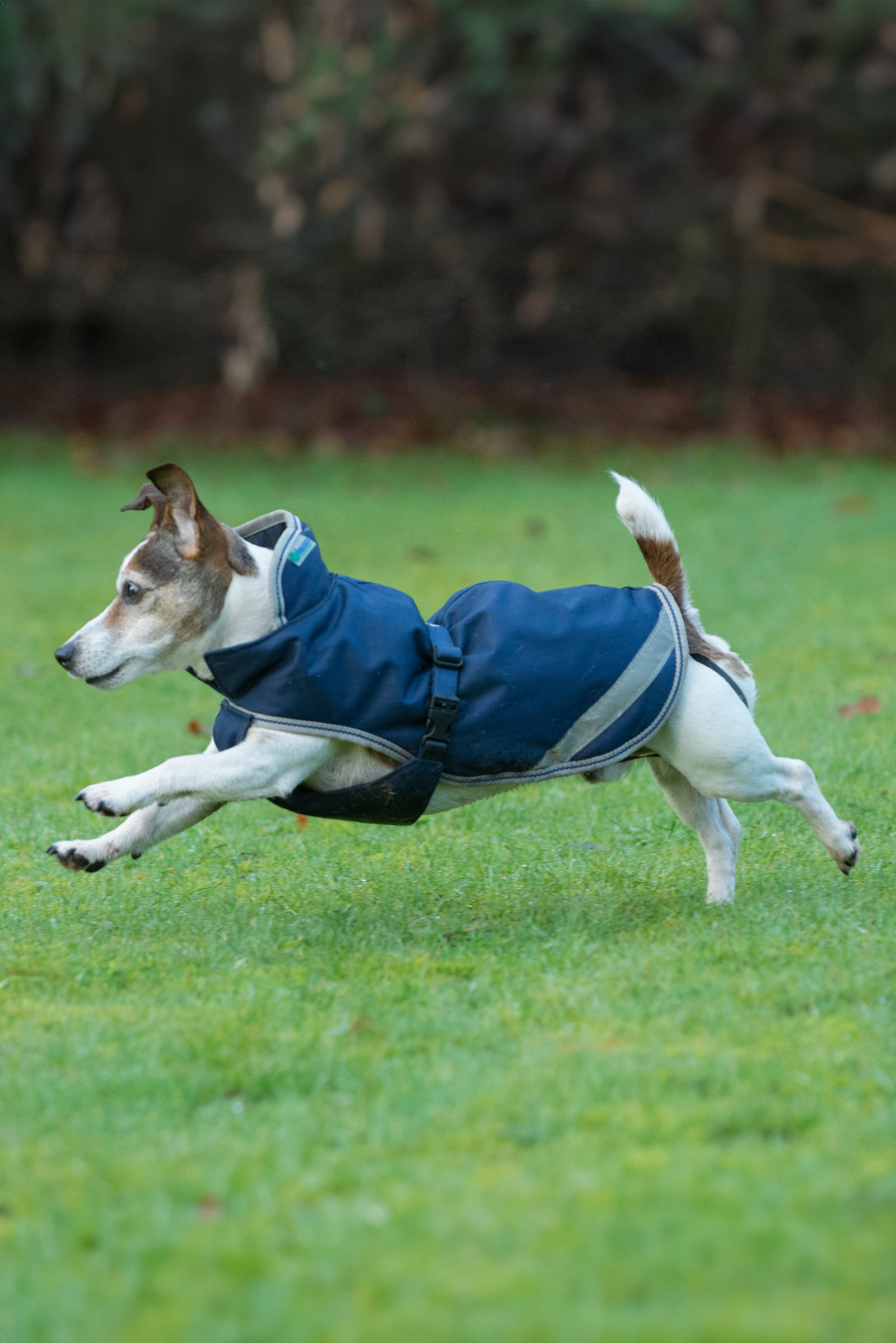 Bucas Freedom Hundedecke, 50g (30-45 cm)