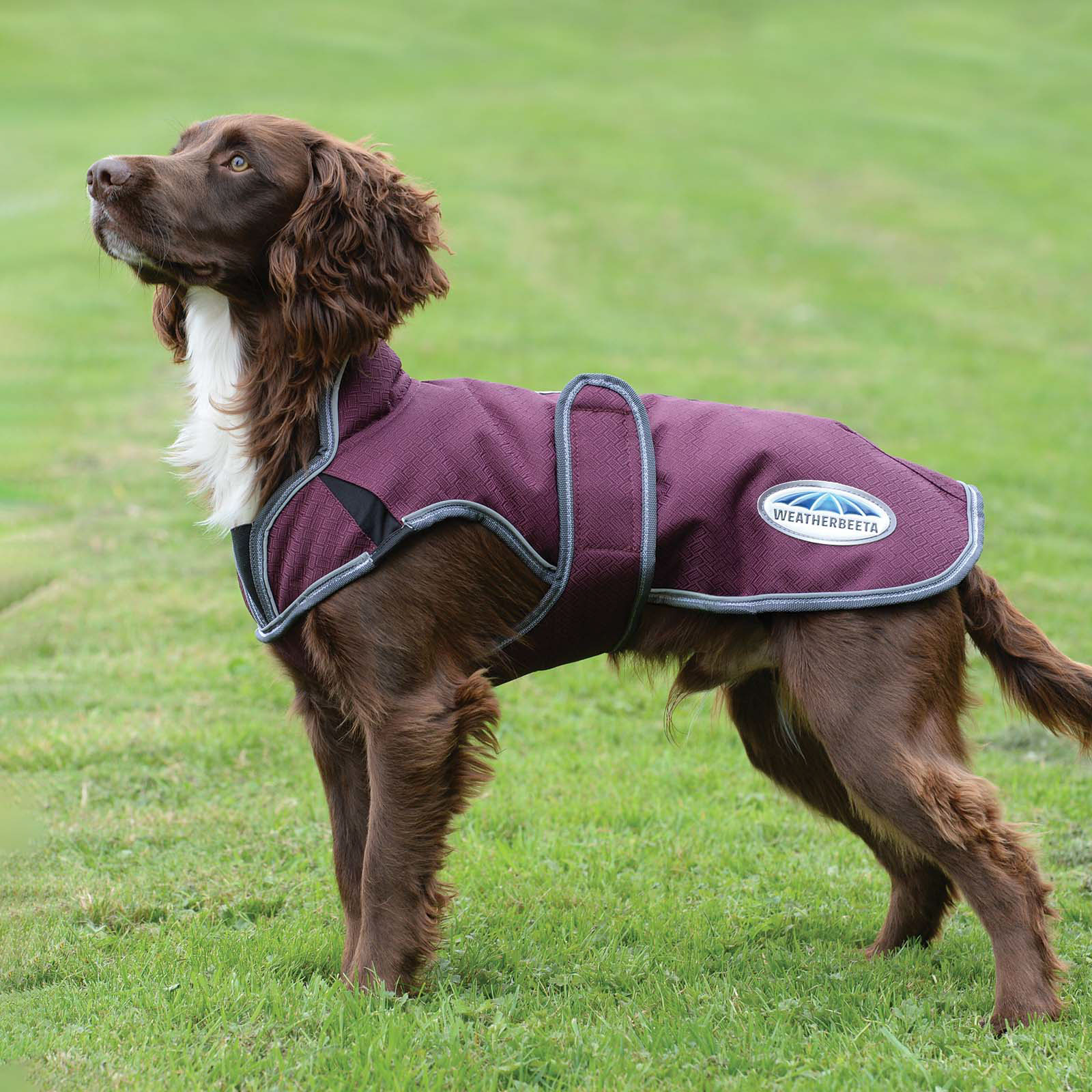 Weatherbeeta Comfitec Premier Free Parka Deluxe Hundemantel, 220g