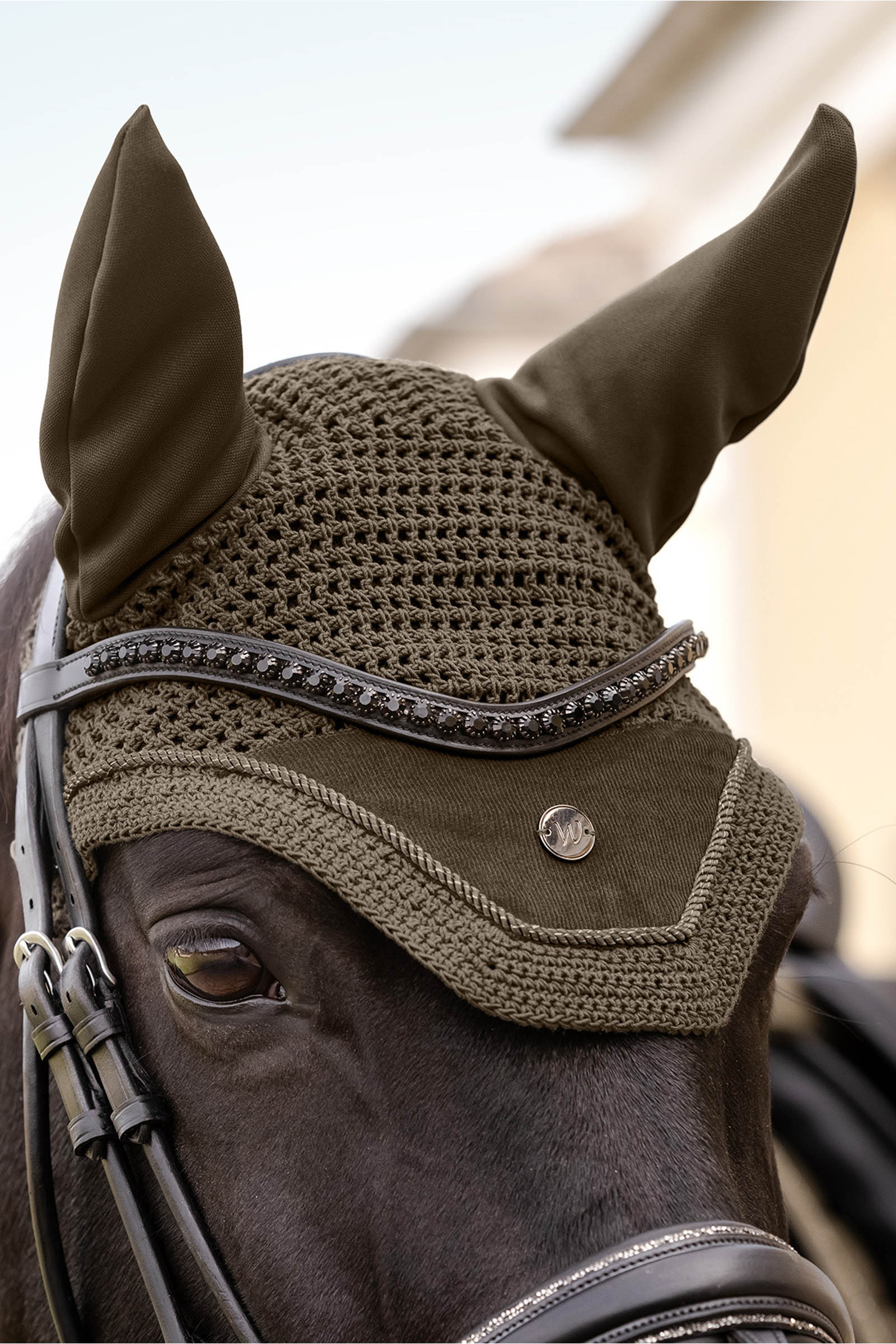 Waldhausen St. Gallen Fly Ears 