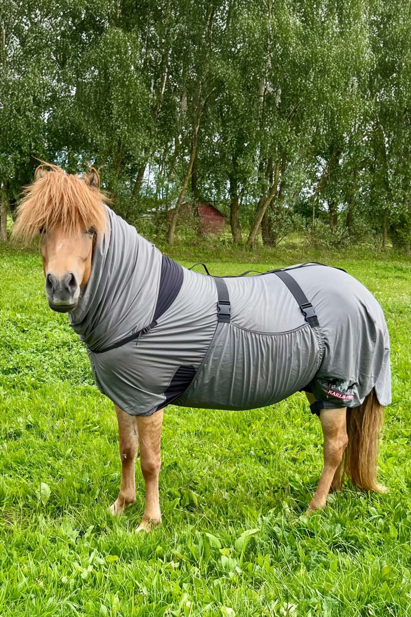 Karlslund Matti Ekzemerdecke mit festem Halsteil, 0g  