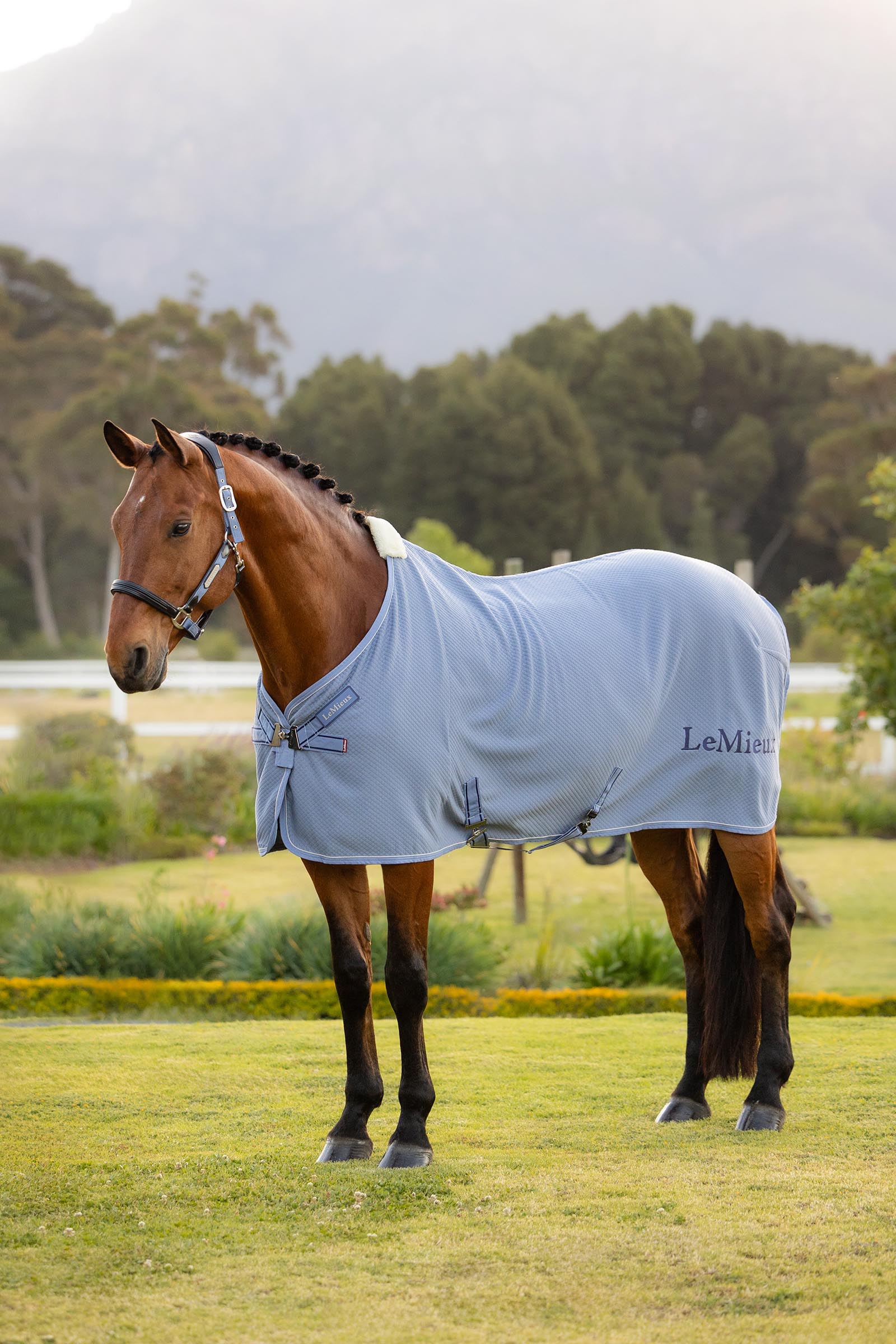 Powder Blue LeMieux Kudos Bambus Abschwitzdecke