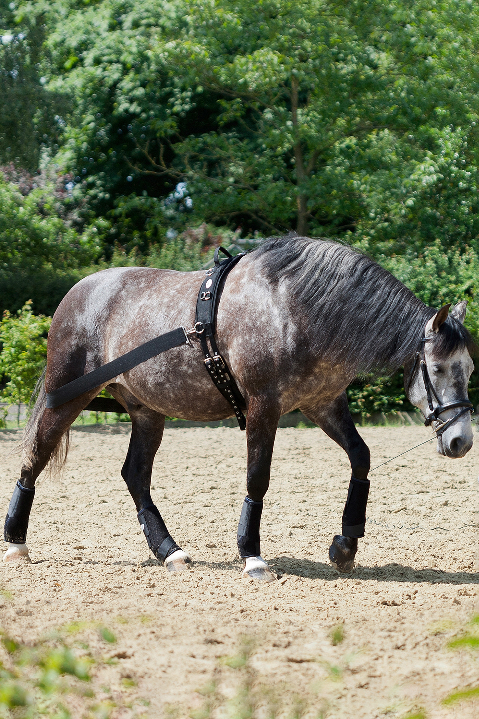 USG CoraLe Trainingssystem