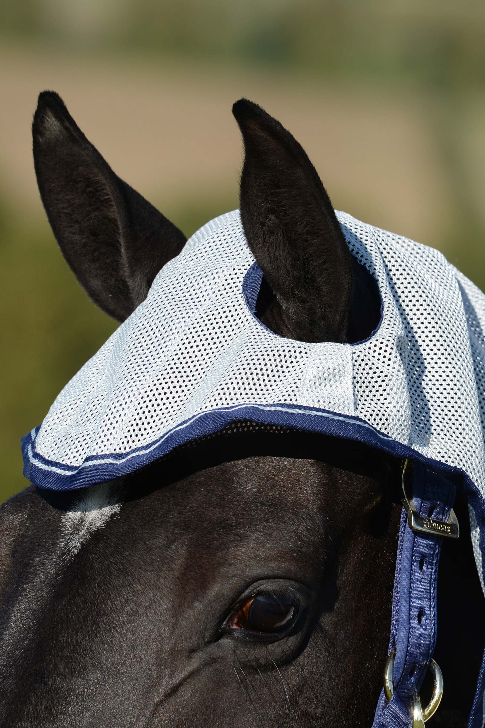 Bucas Buzz-Off X-light Full Neck Fliegendecke mit festem Halsteil