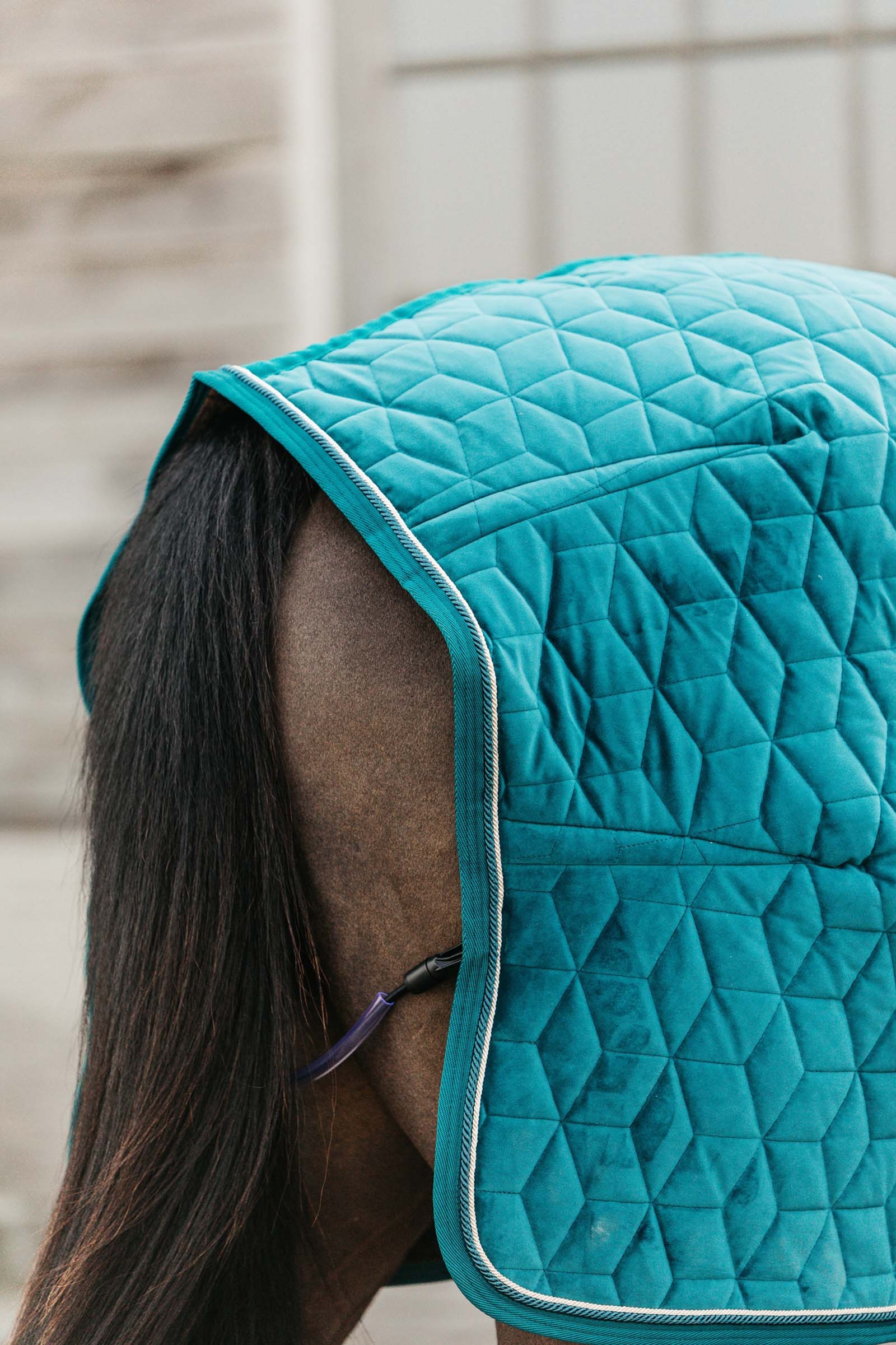 Kentucky Horsewear Velvet Turnierdecke, 160g