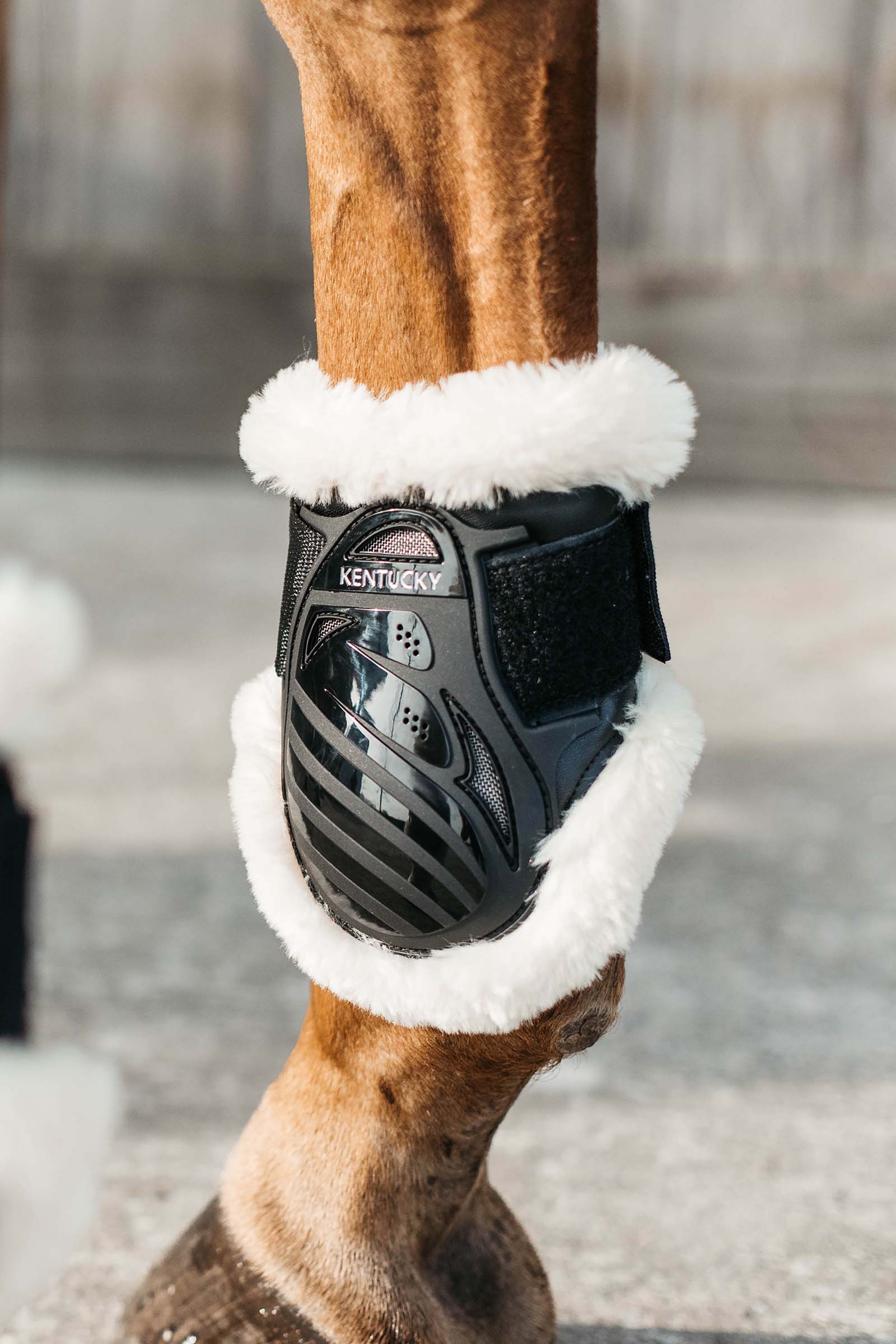 Kentucky Horsewear vegane Lammfell Streichkappen für Jungpferde