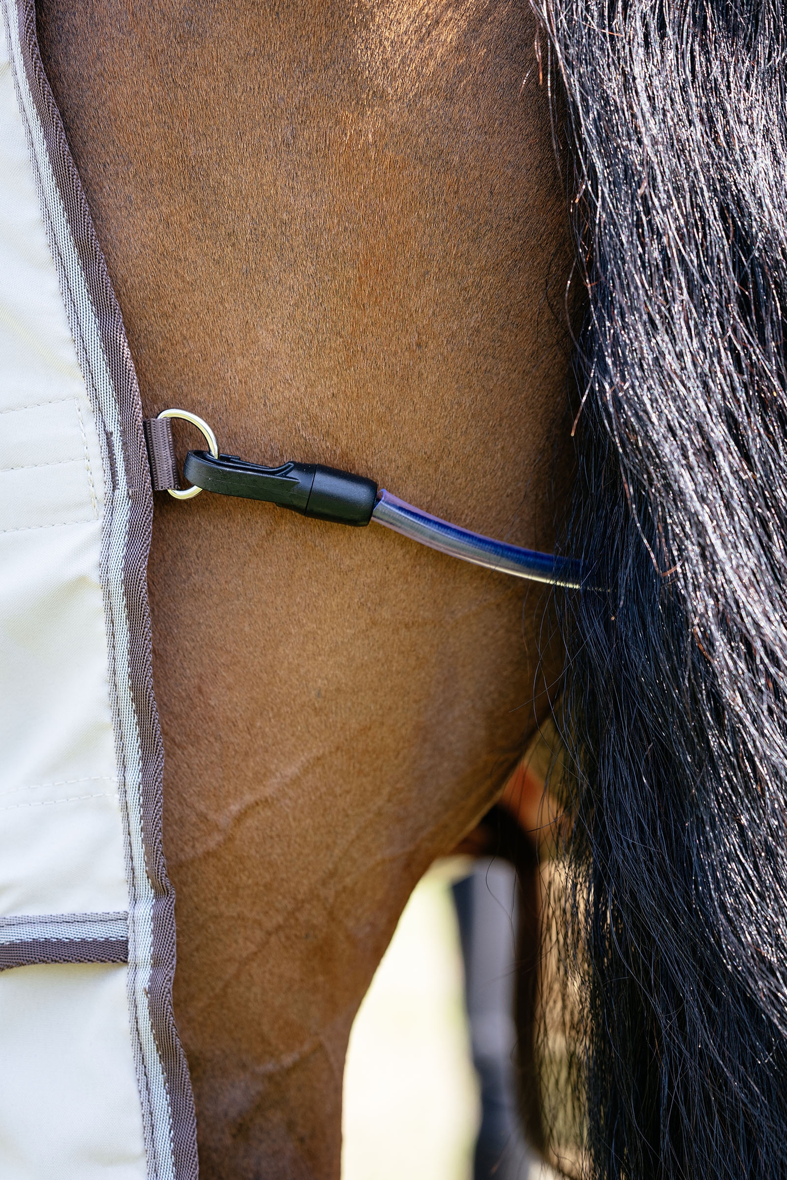 LeMieux Kudos Shower Pro Ekzemerdecke mit abnehmbarem Halsteil