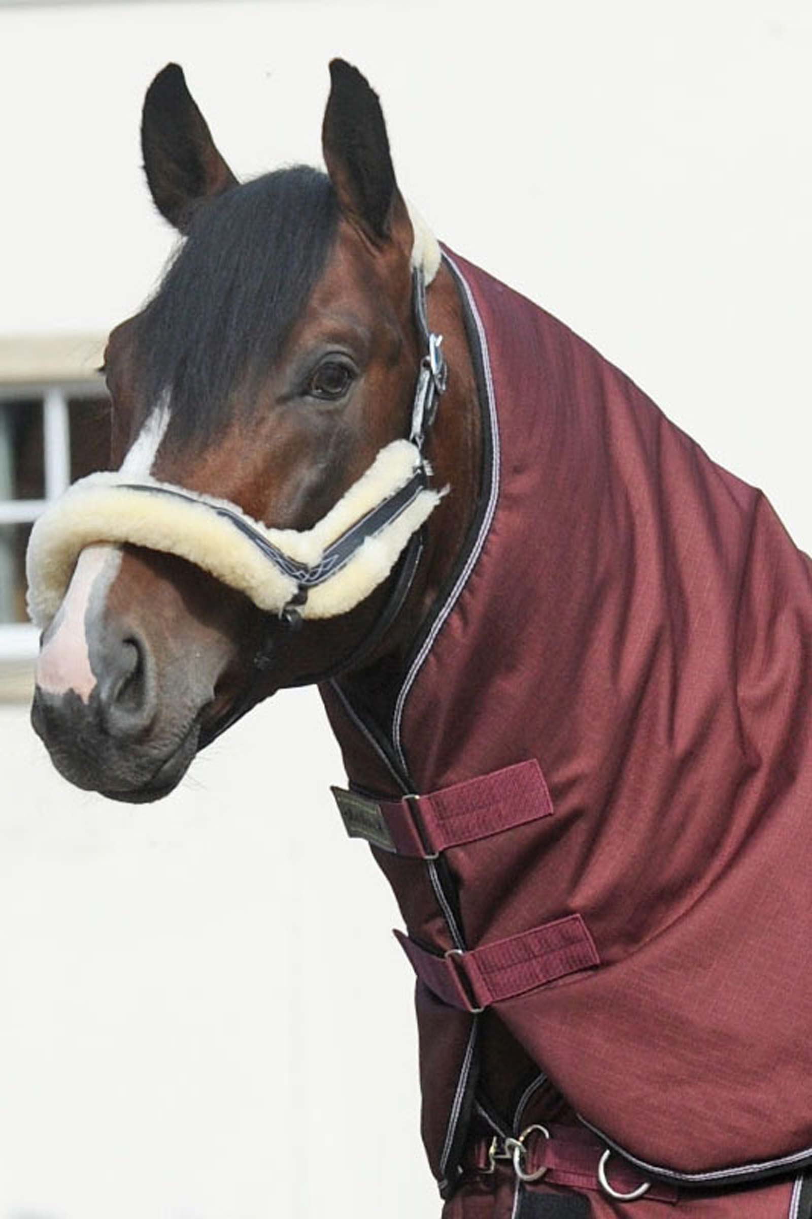 Kavalkade Halsteil für Alaska IV, 100 g